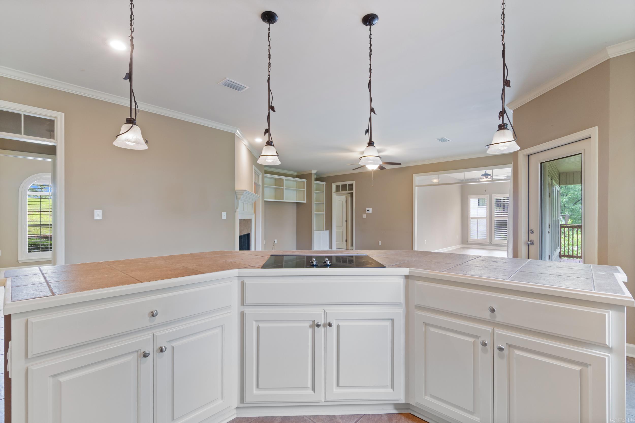 20 Canterberry Point Drive  Conway, AR