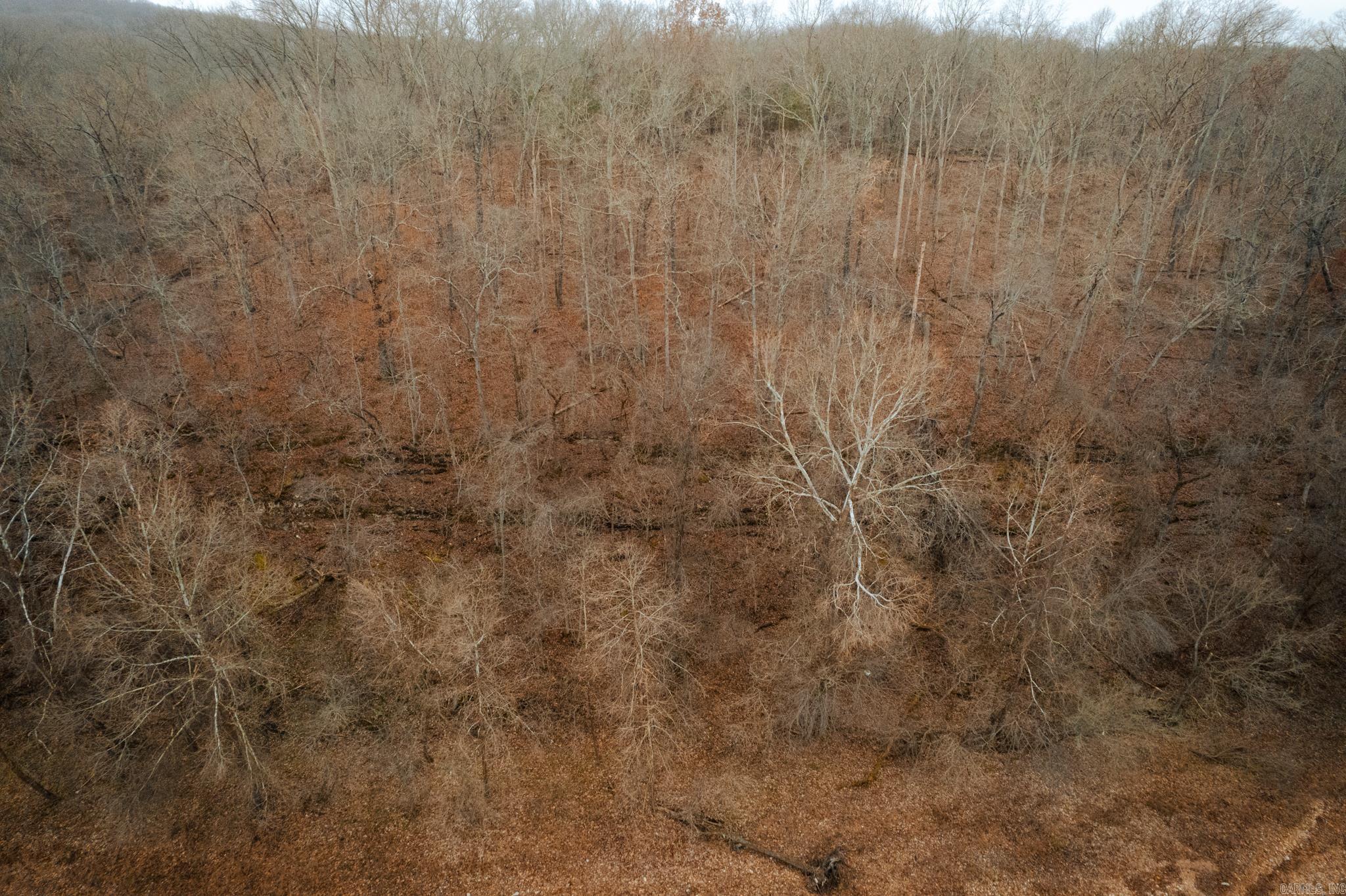 16339 Limekiln Road  Garfield, AR