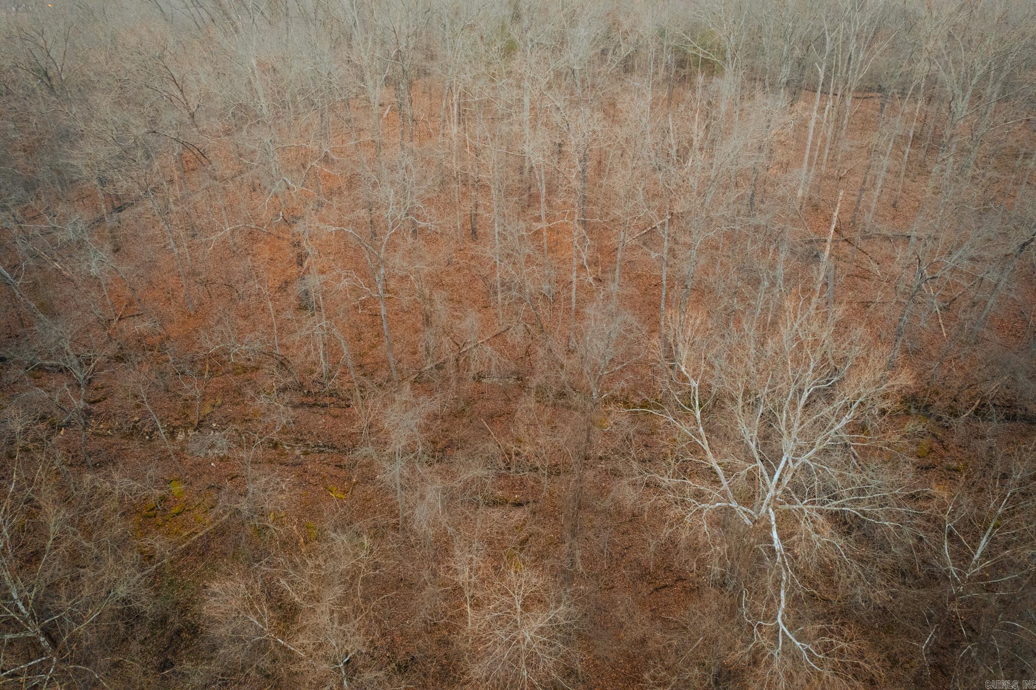 16339 Limekiln Road  Garfield, AR