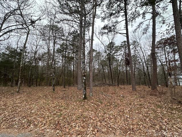  Lot 14 Silver Fox Ln  Greers Ferry, AR