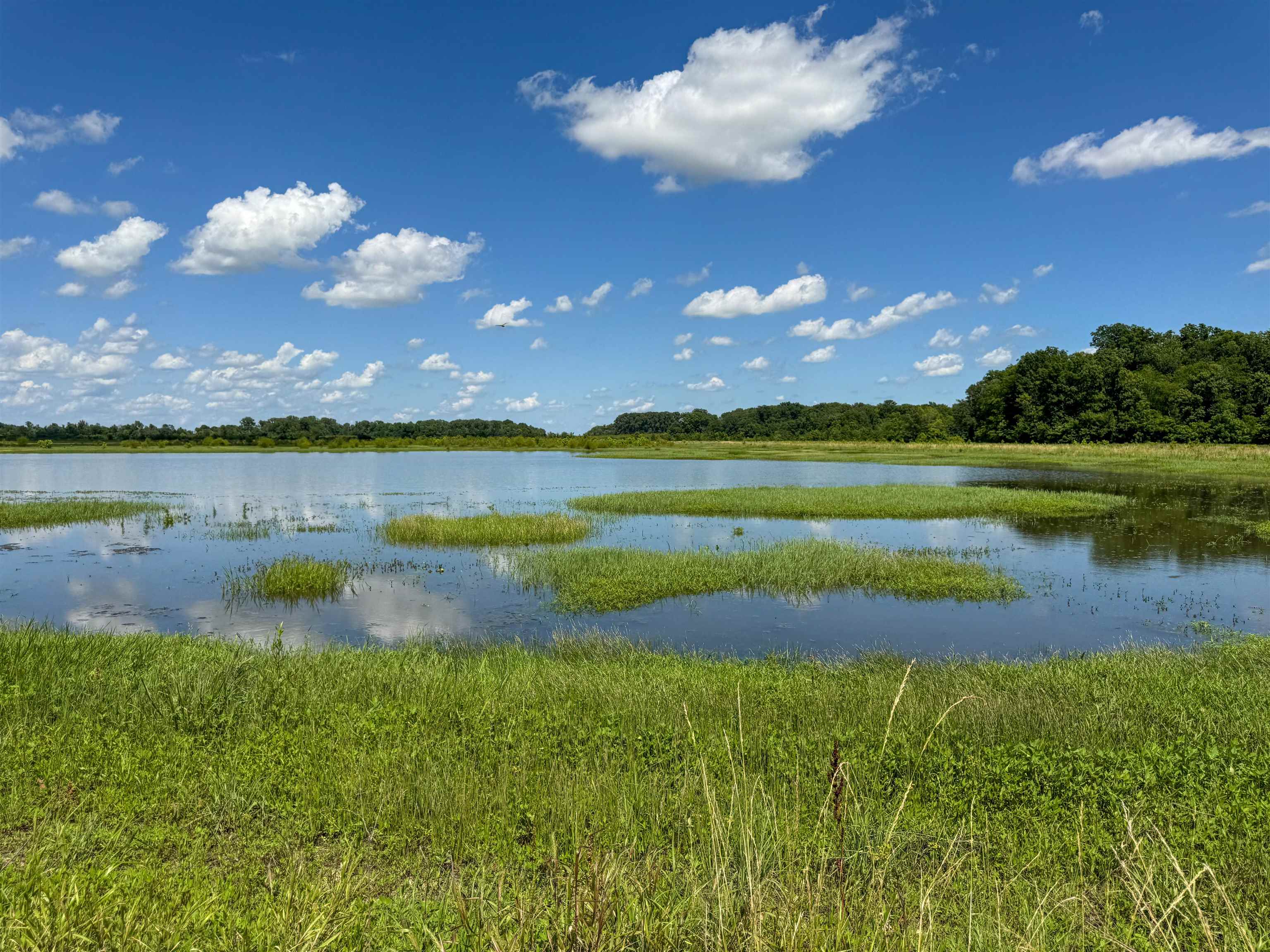 0 Lawrence Rd 348  Alicia, AR