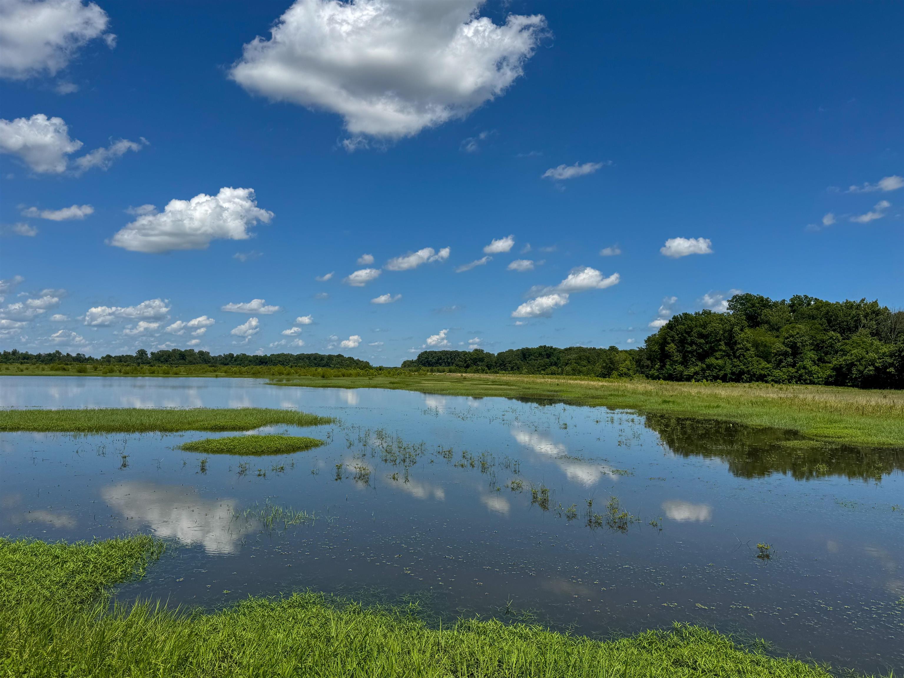 0 Lawrence Rd 348  Alicia, AR