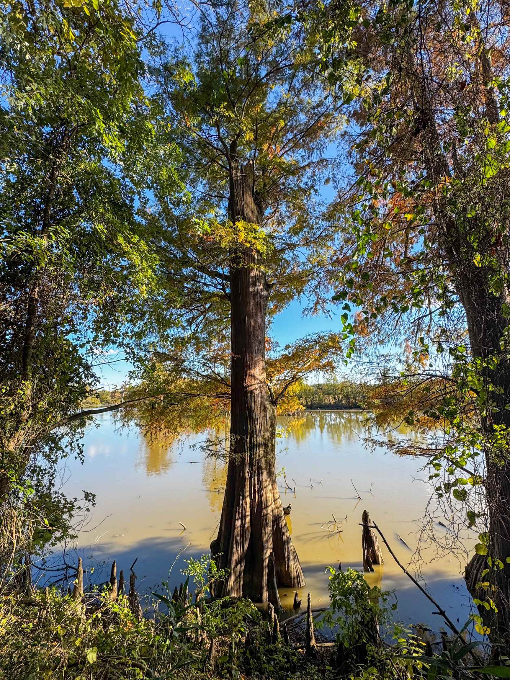 0 Lawrence Rd 348  Alicia, AR