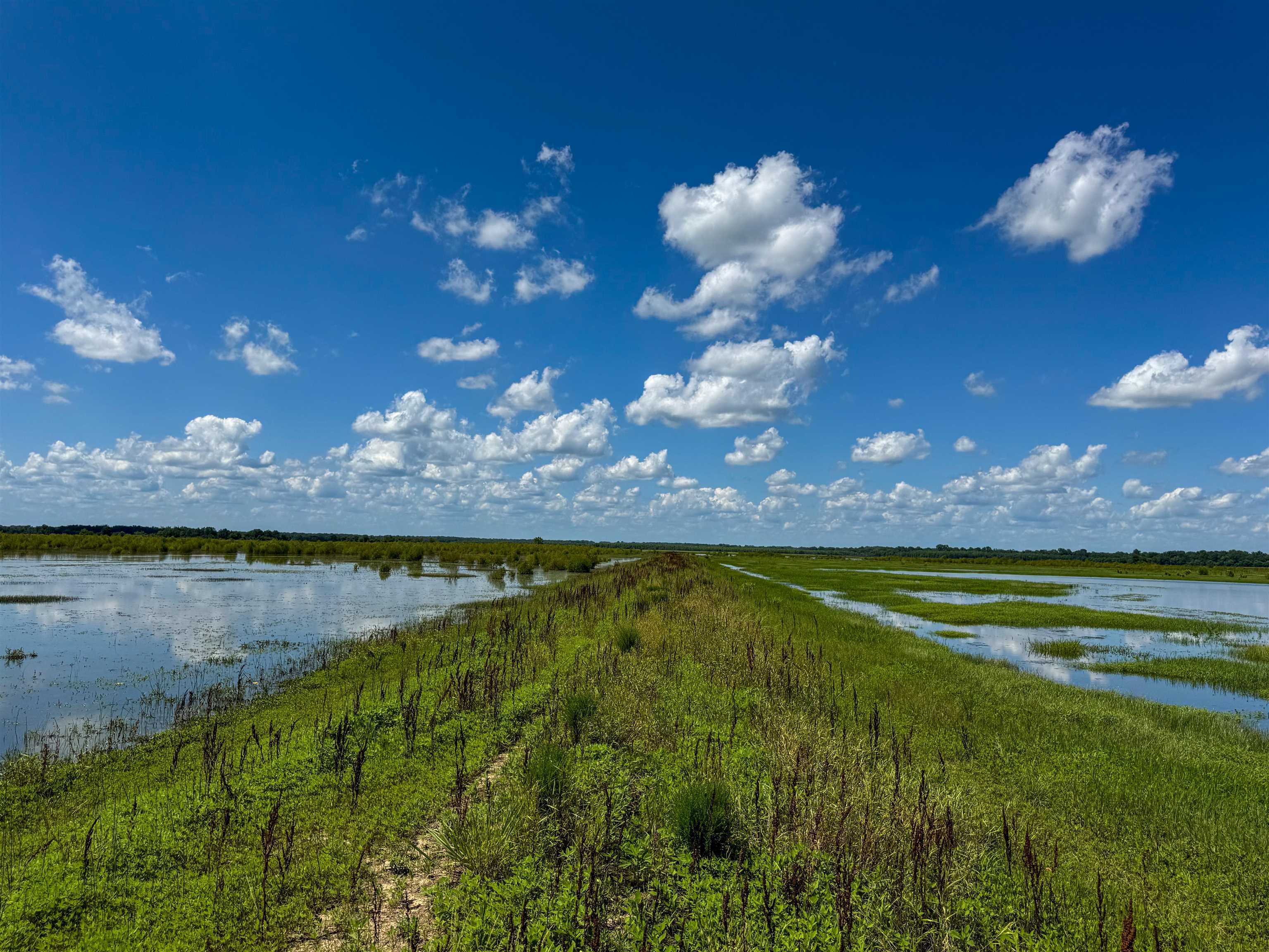 0 Lawrence Rd 348  Alicia, AR