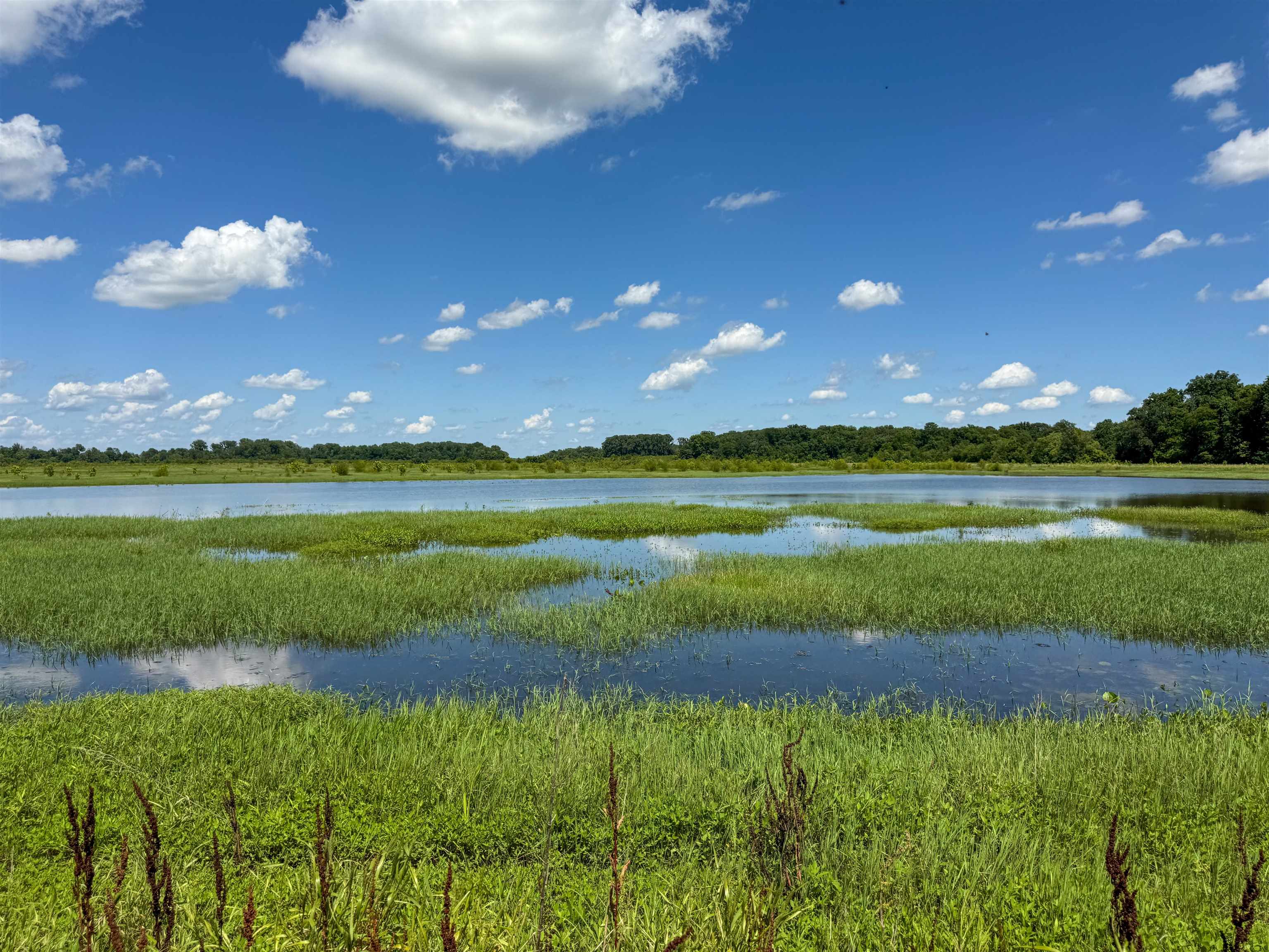 0 Lawrence Rd 348  Alicia, AR