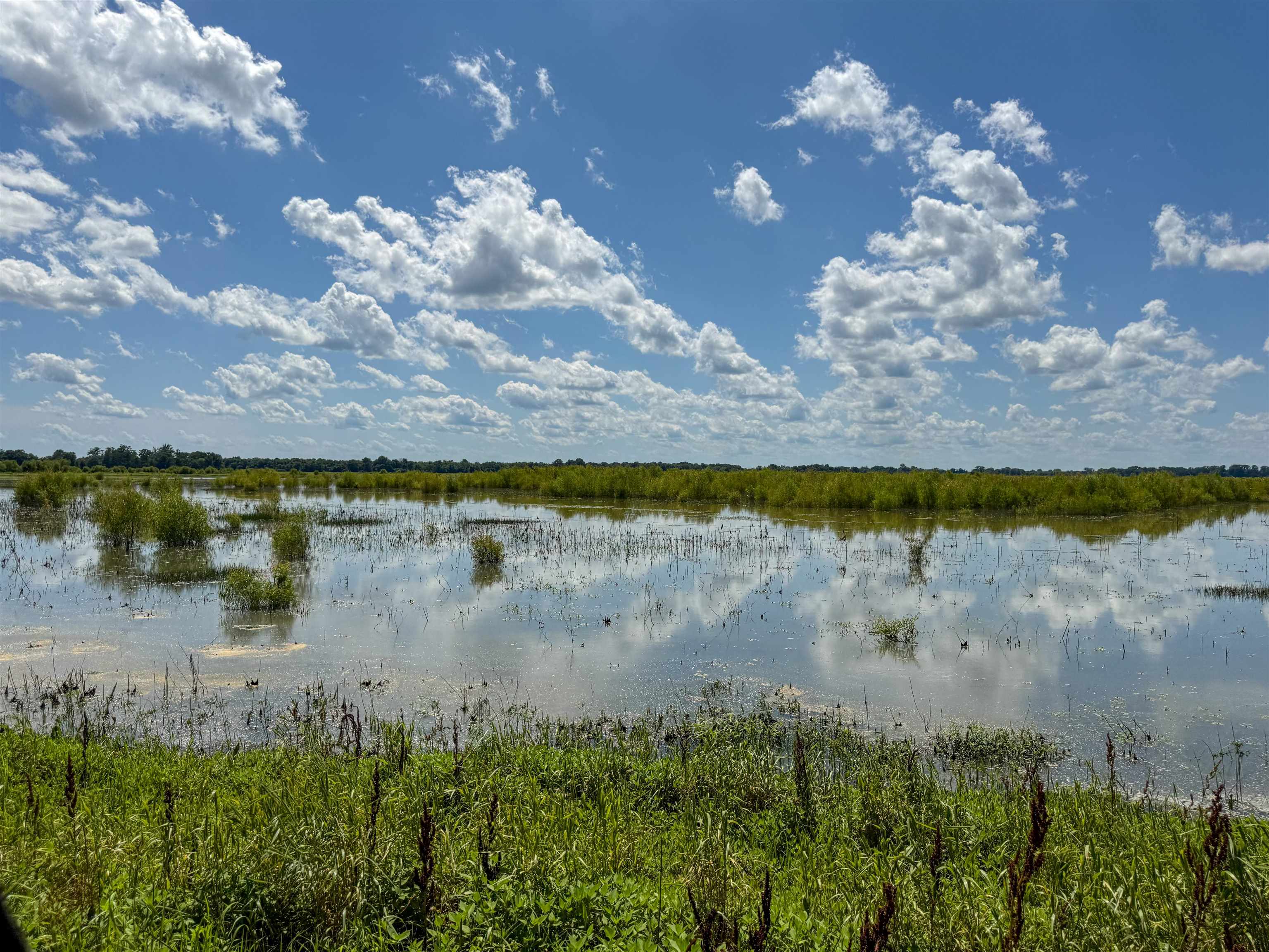 0 Lawrence Rd 348  Alicia, AR