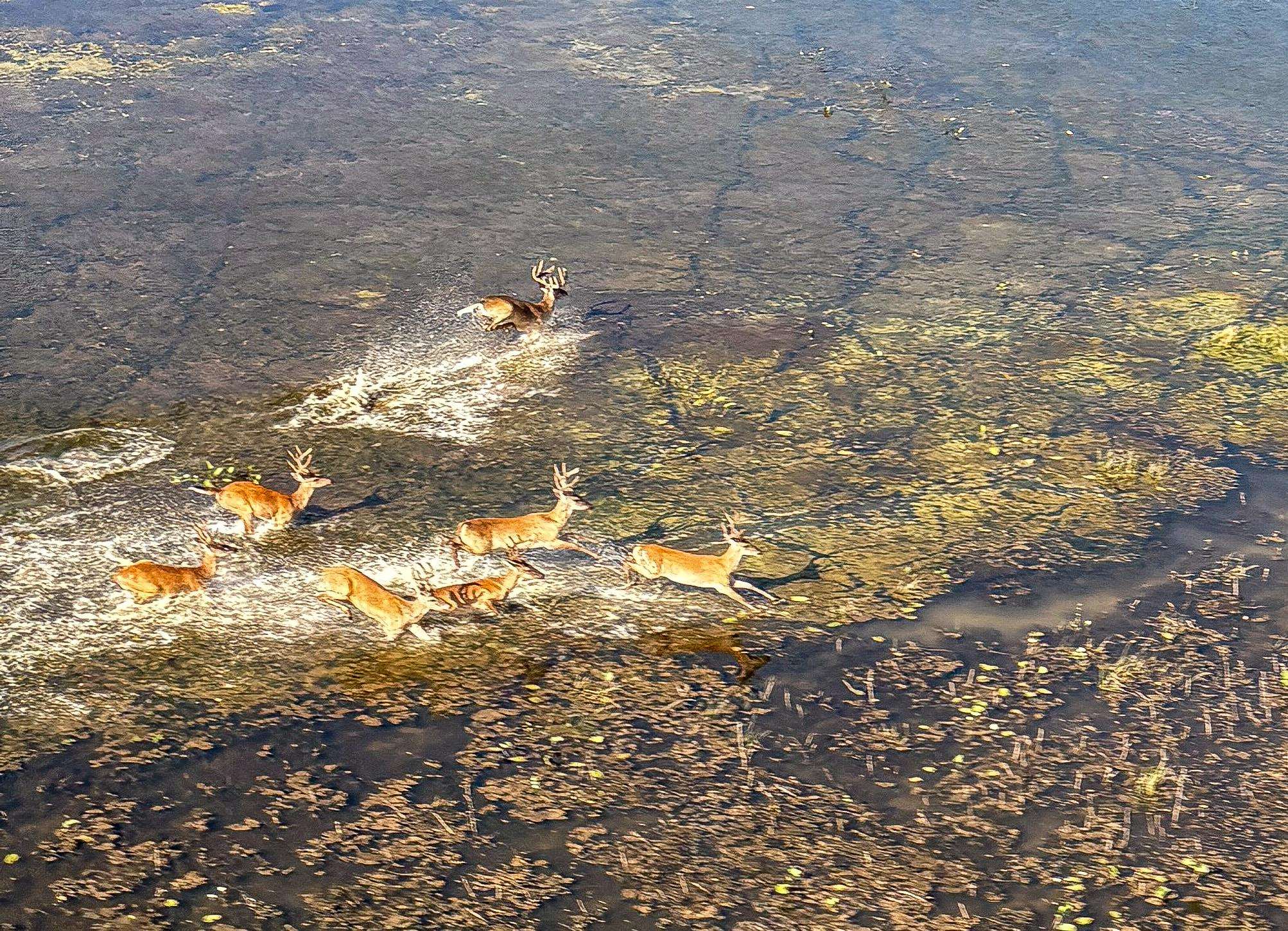 0 Lawrence Rd 348  Alicia, AR