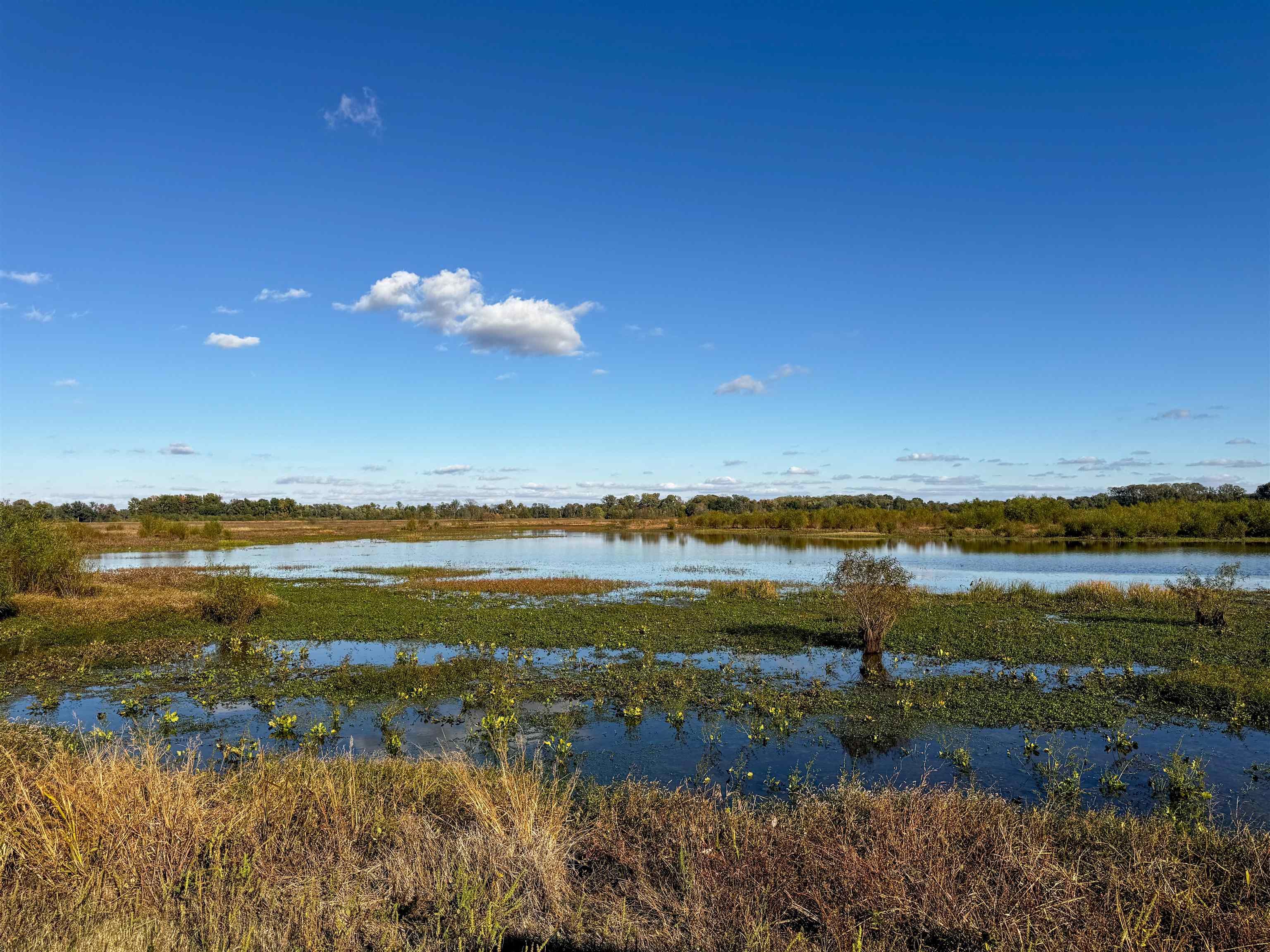 0 Lawrence Rd 348  Alicia, AR