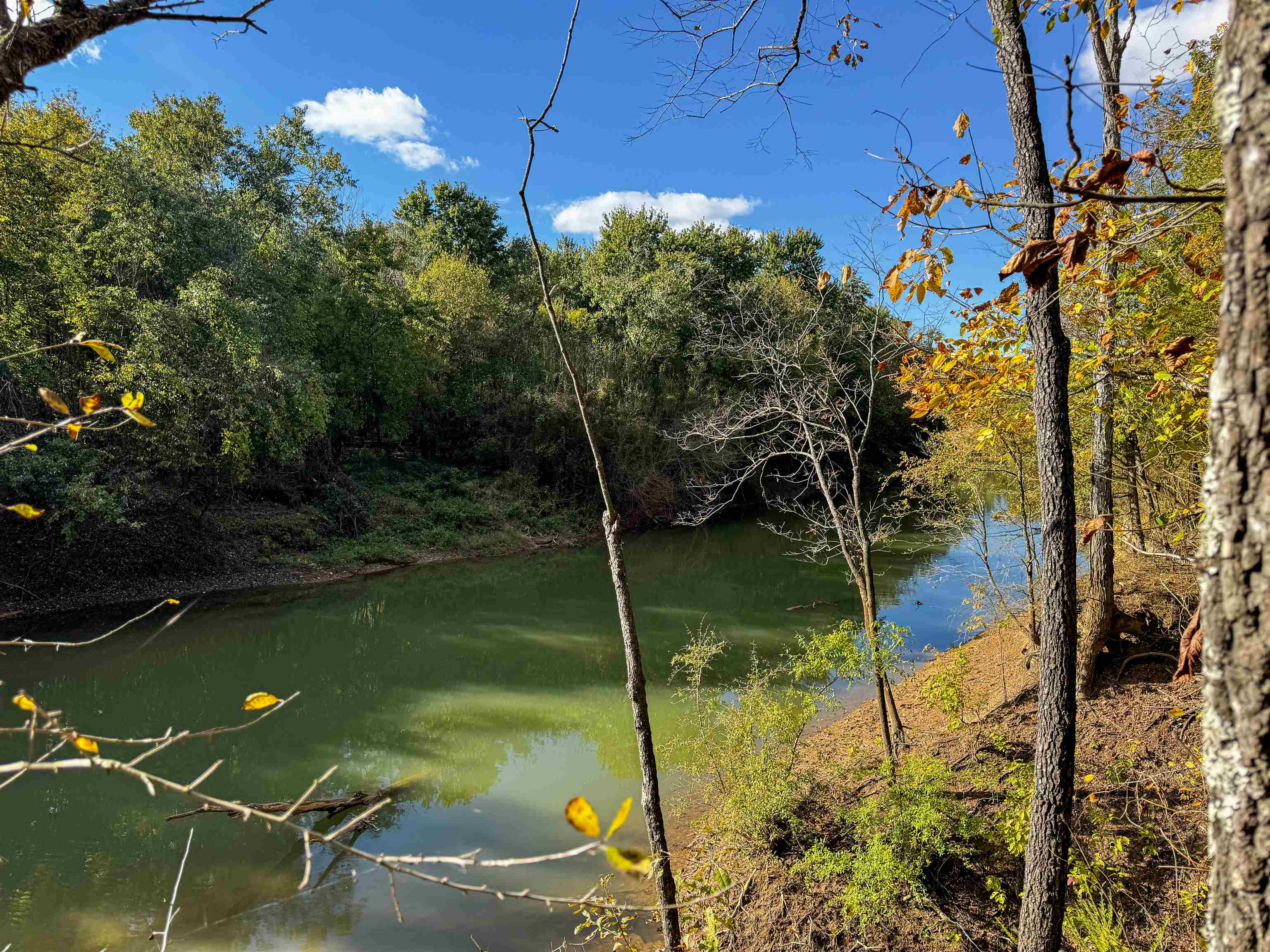 0 Lawrence Rd 348  Alicia, AR