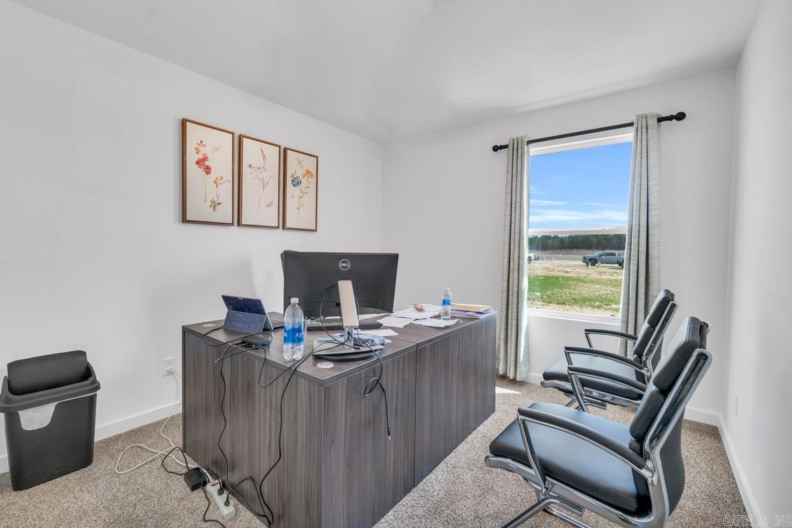 55 Wolfsbridge  Cabot, AR