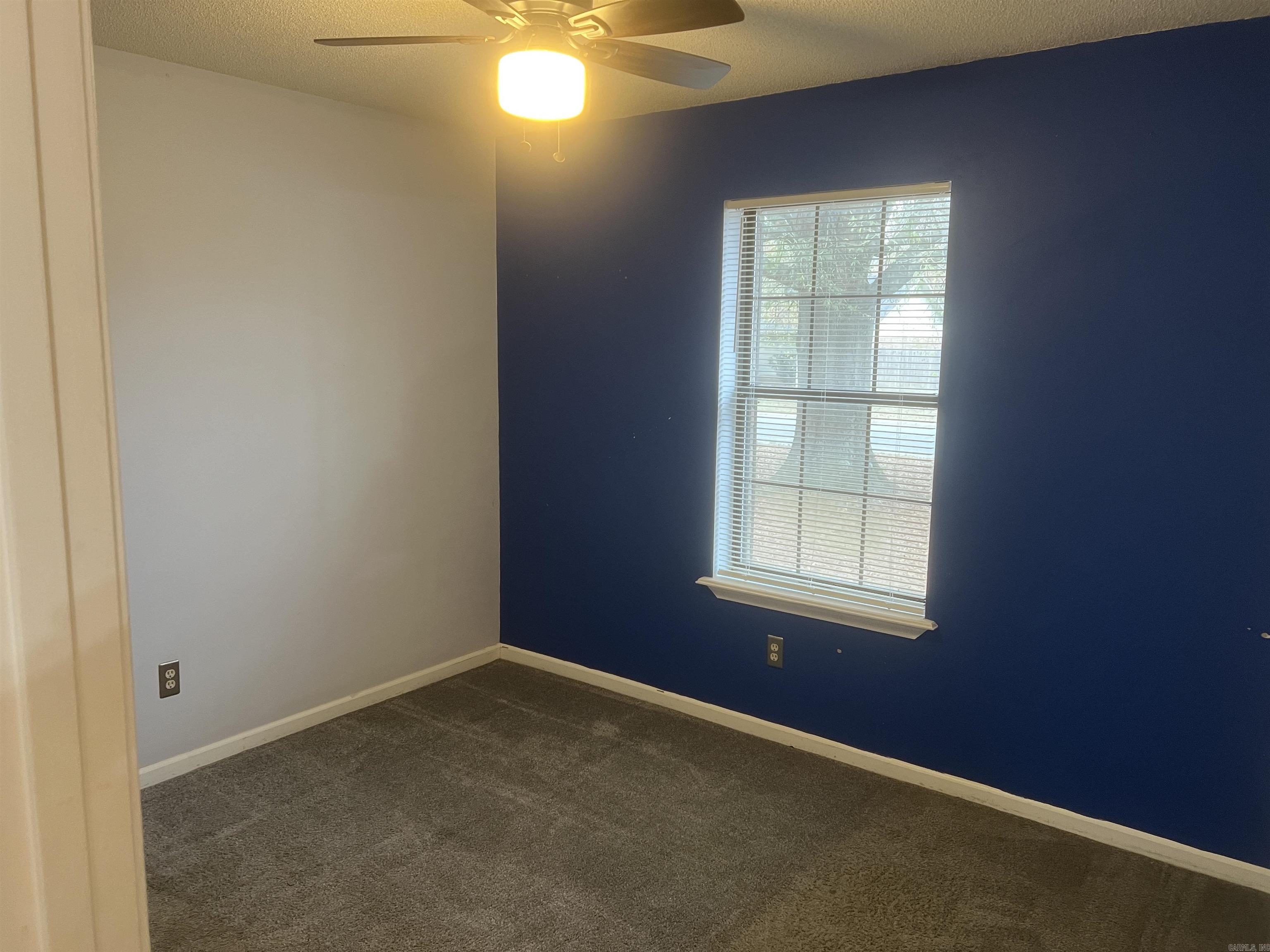 8 Bridgestone Drive  Conway, AR