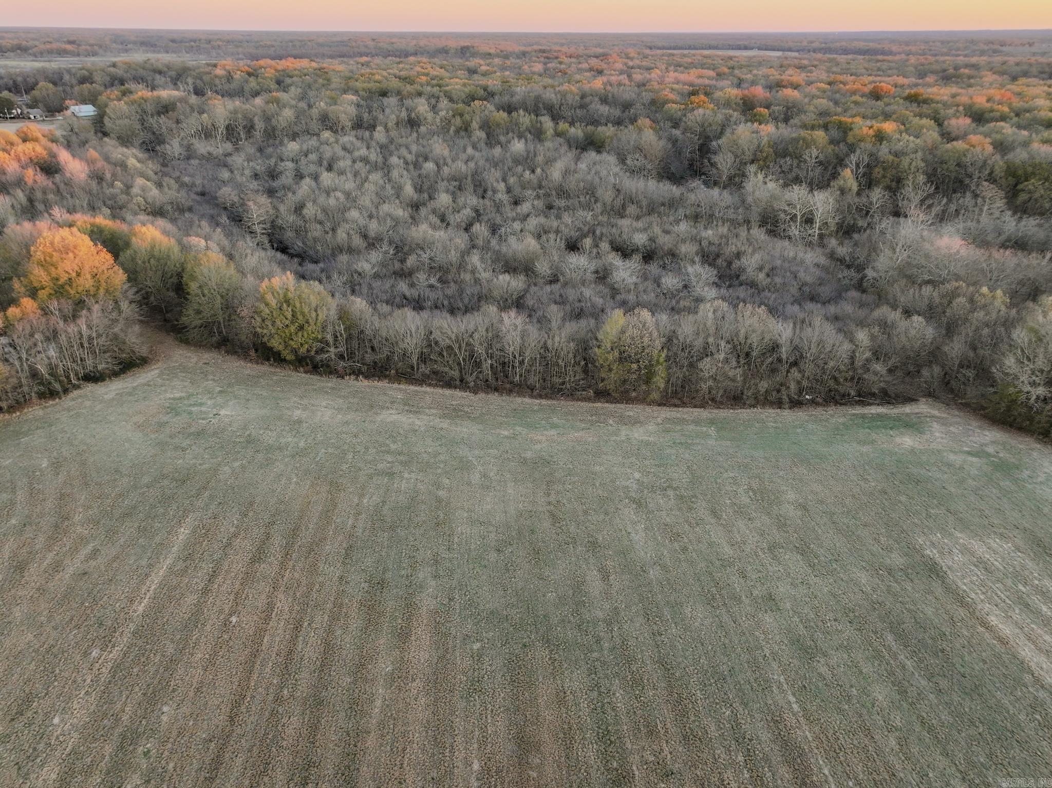  SFC 255  Palestine, AR