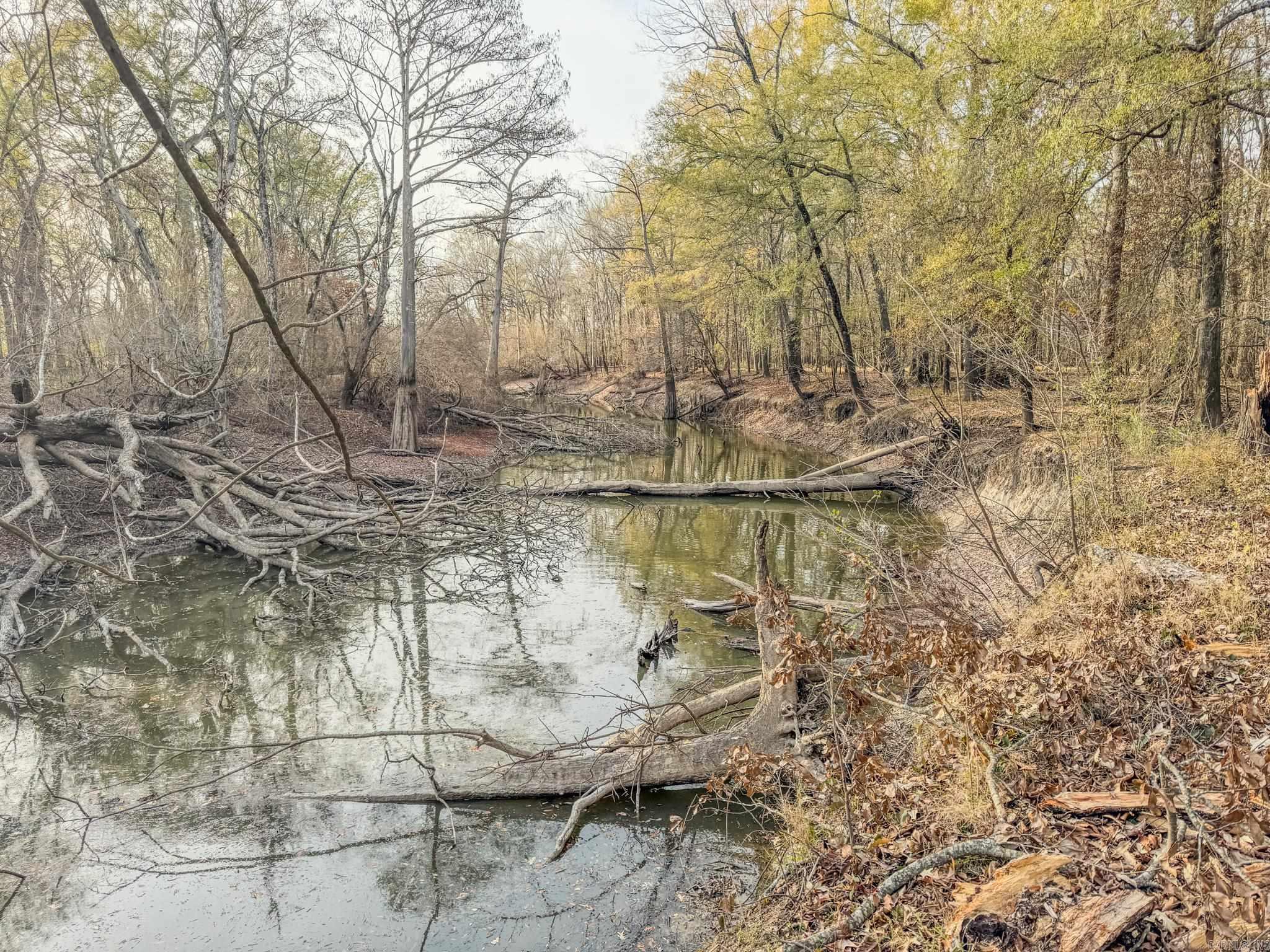  SFC 255  Palestine, AR