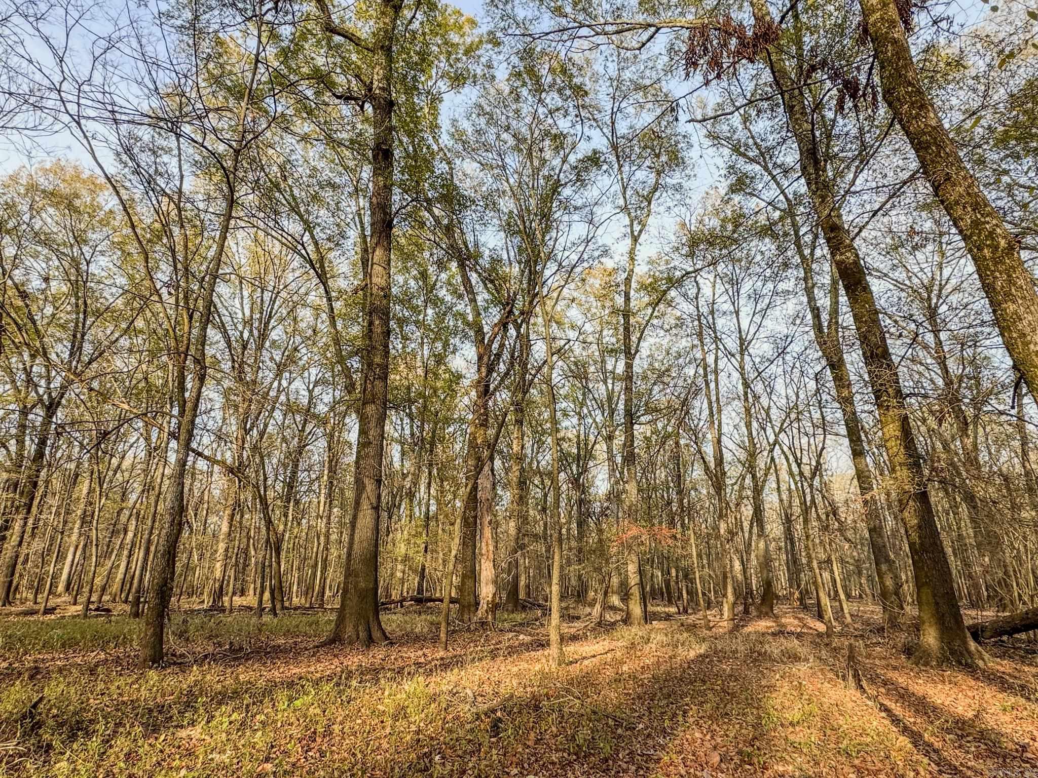  SFC 255  Palestine, AR