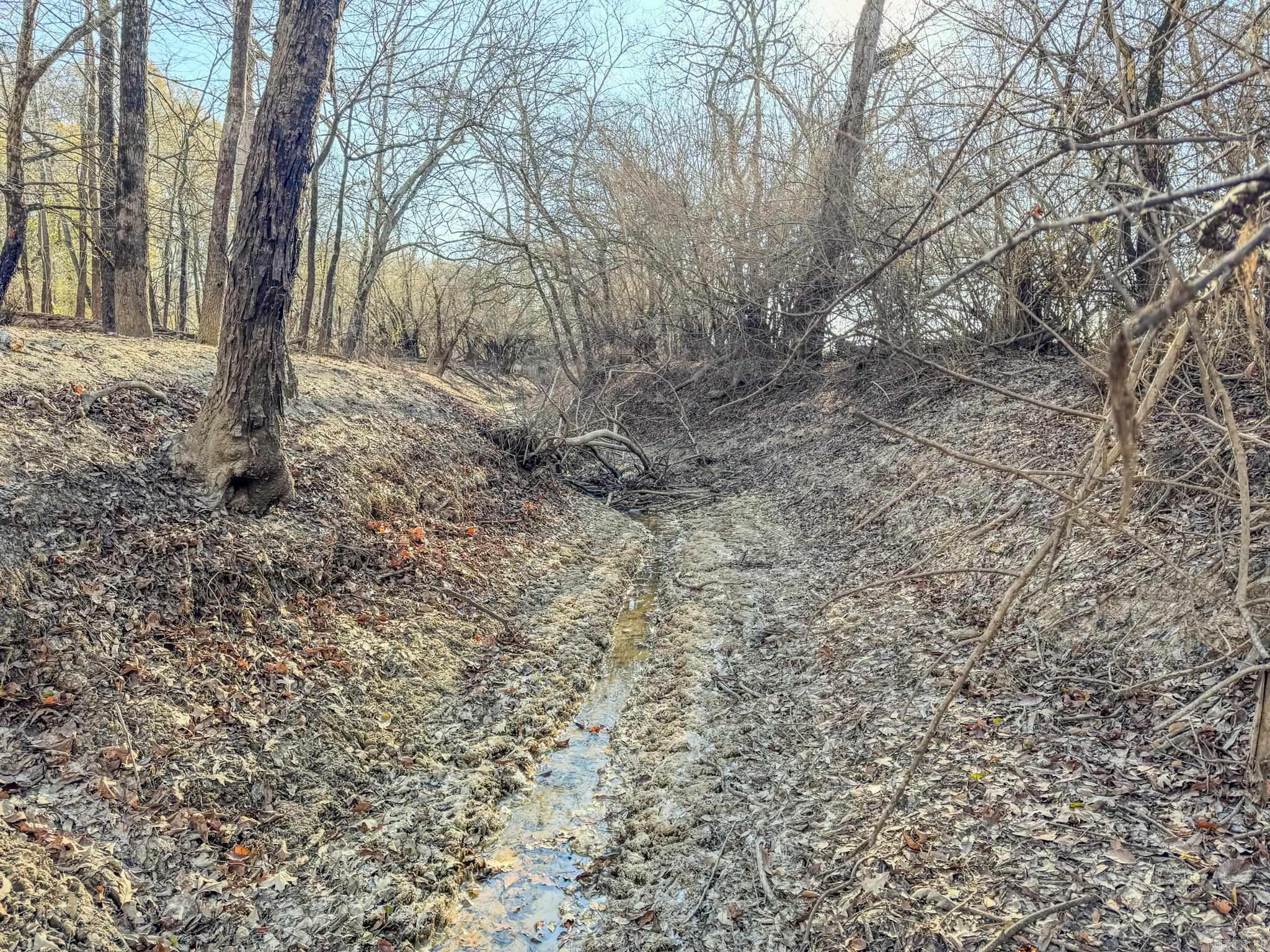  SFC 255  Palestine, AR