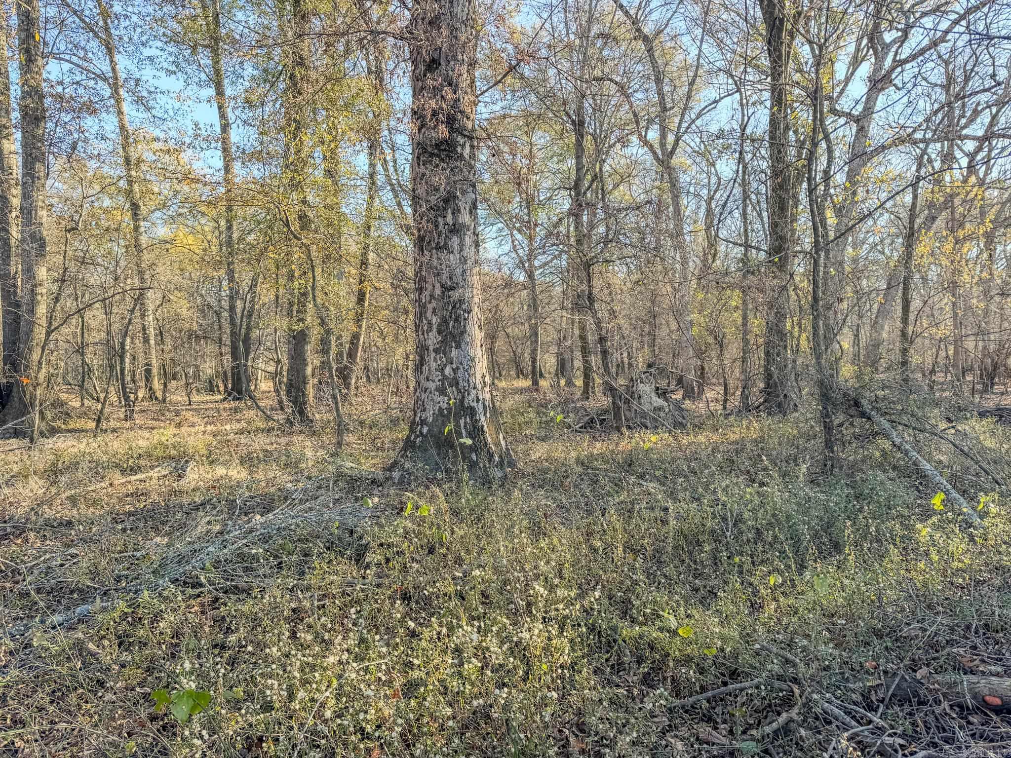  SFC 255  Palestine, AR