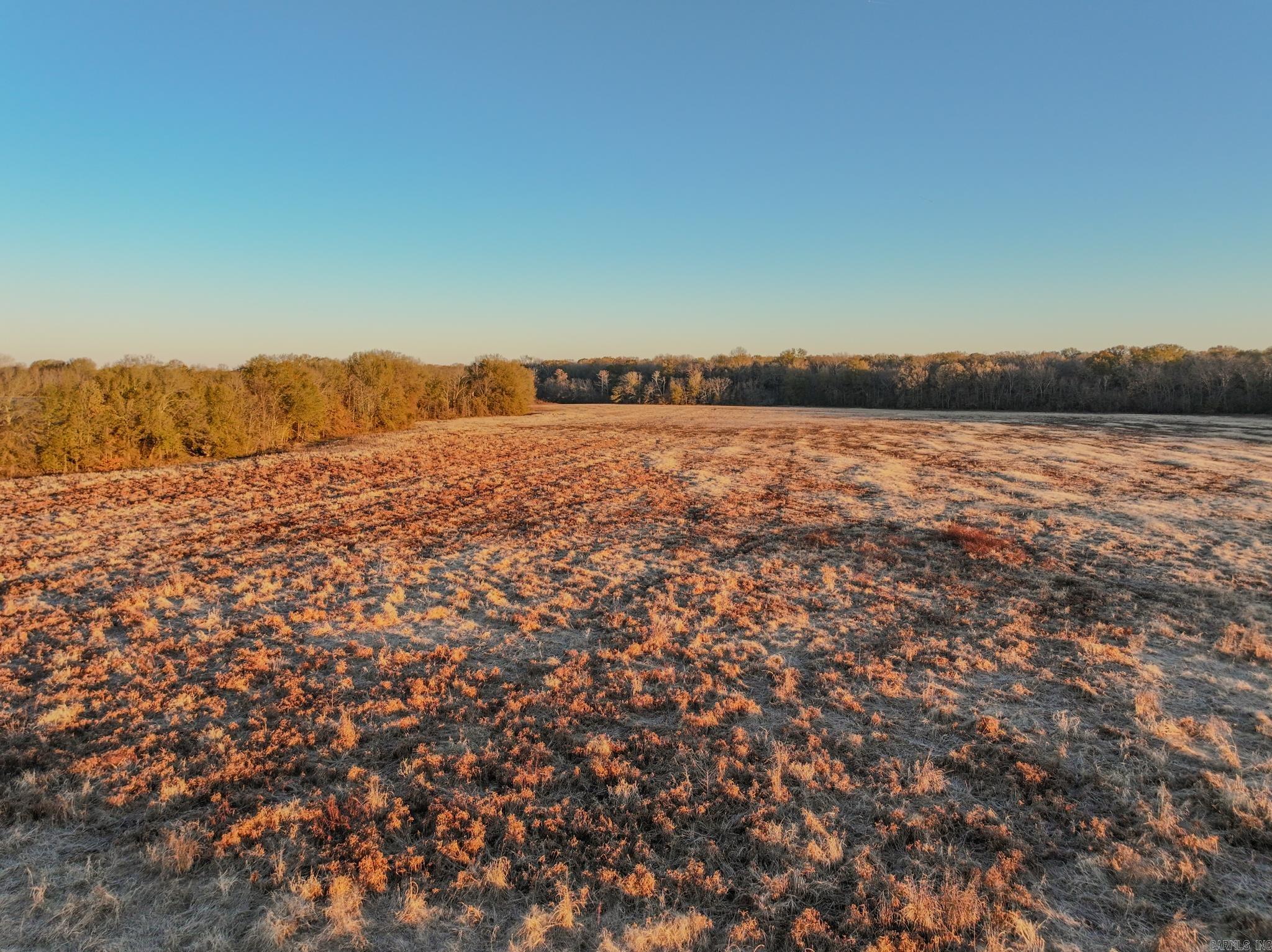  SFC 255  Palestine, AR