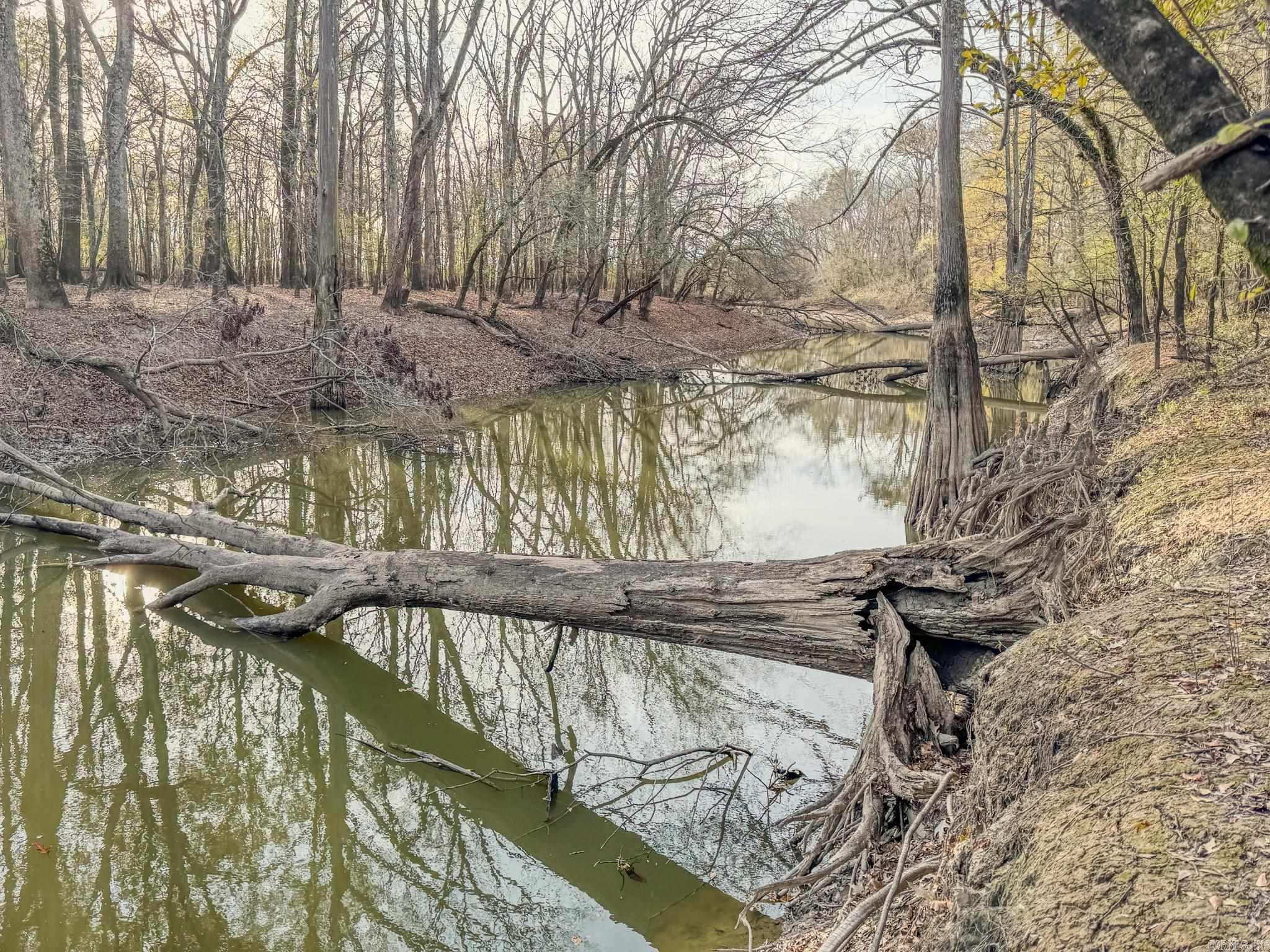  SFC 255  Palestine, AR