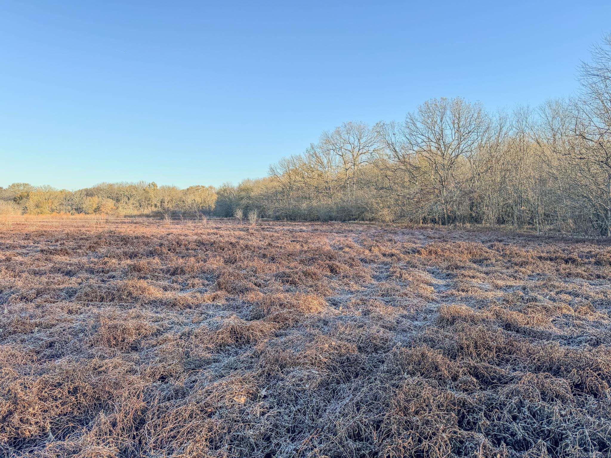  SFC 255  Palestine, AR