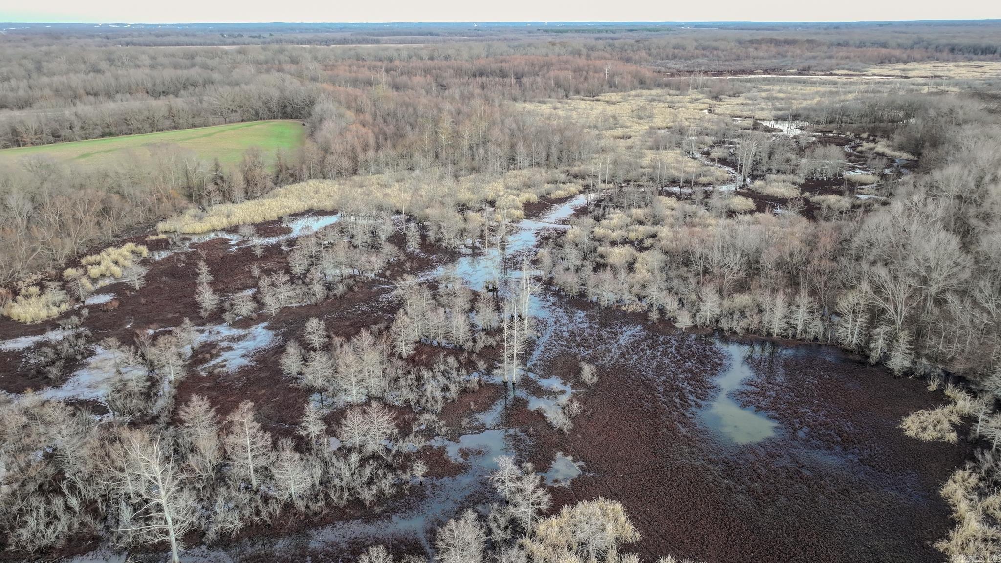  SFC 255  Palestine, AR