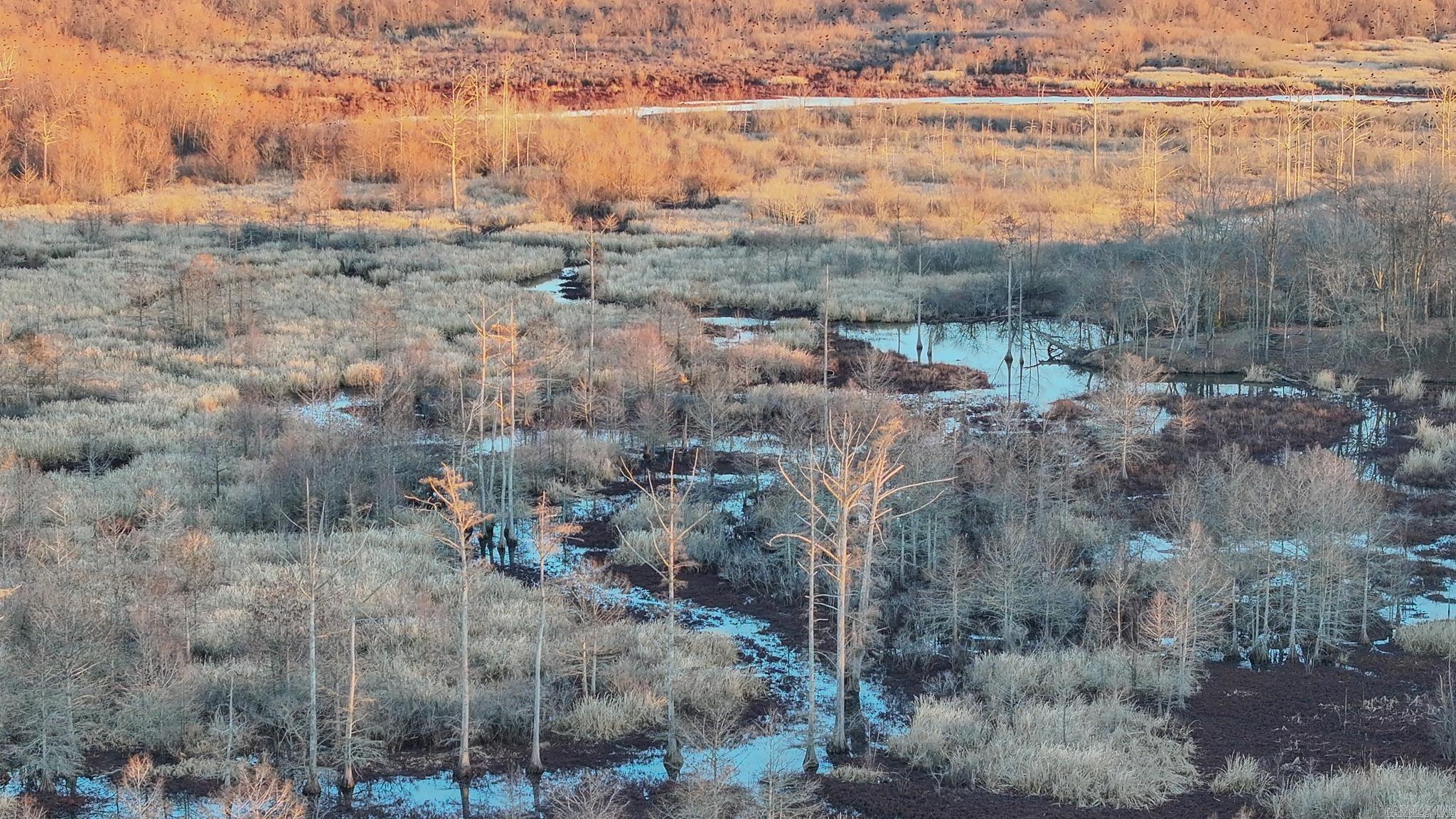  SFC 255  Palestine, AR