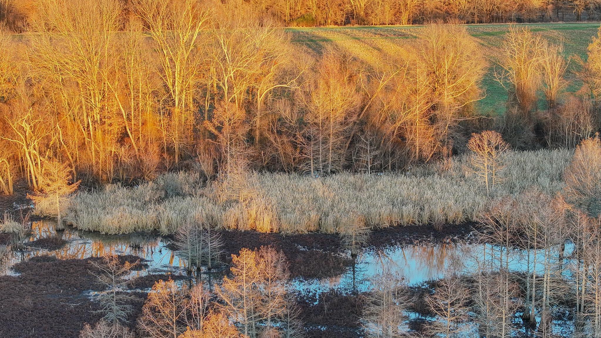  SFC 255  Palestine, AR