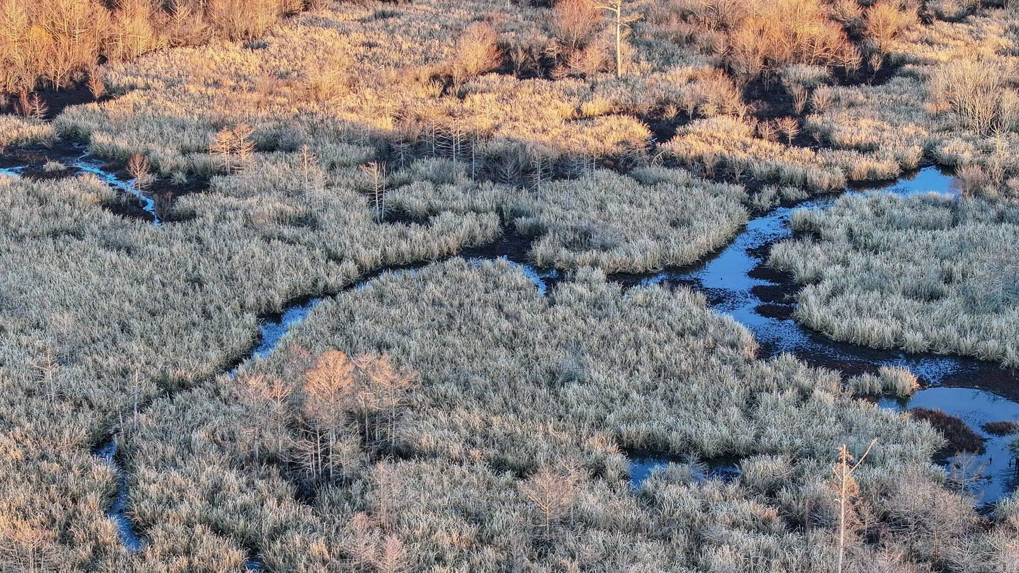  SFC 255  Palestine, AR