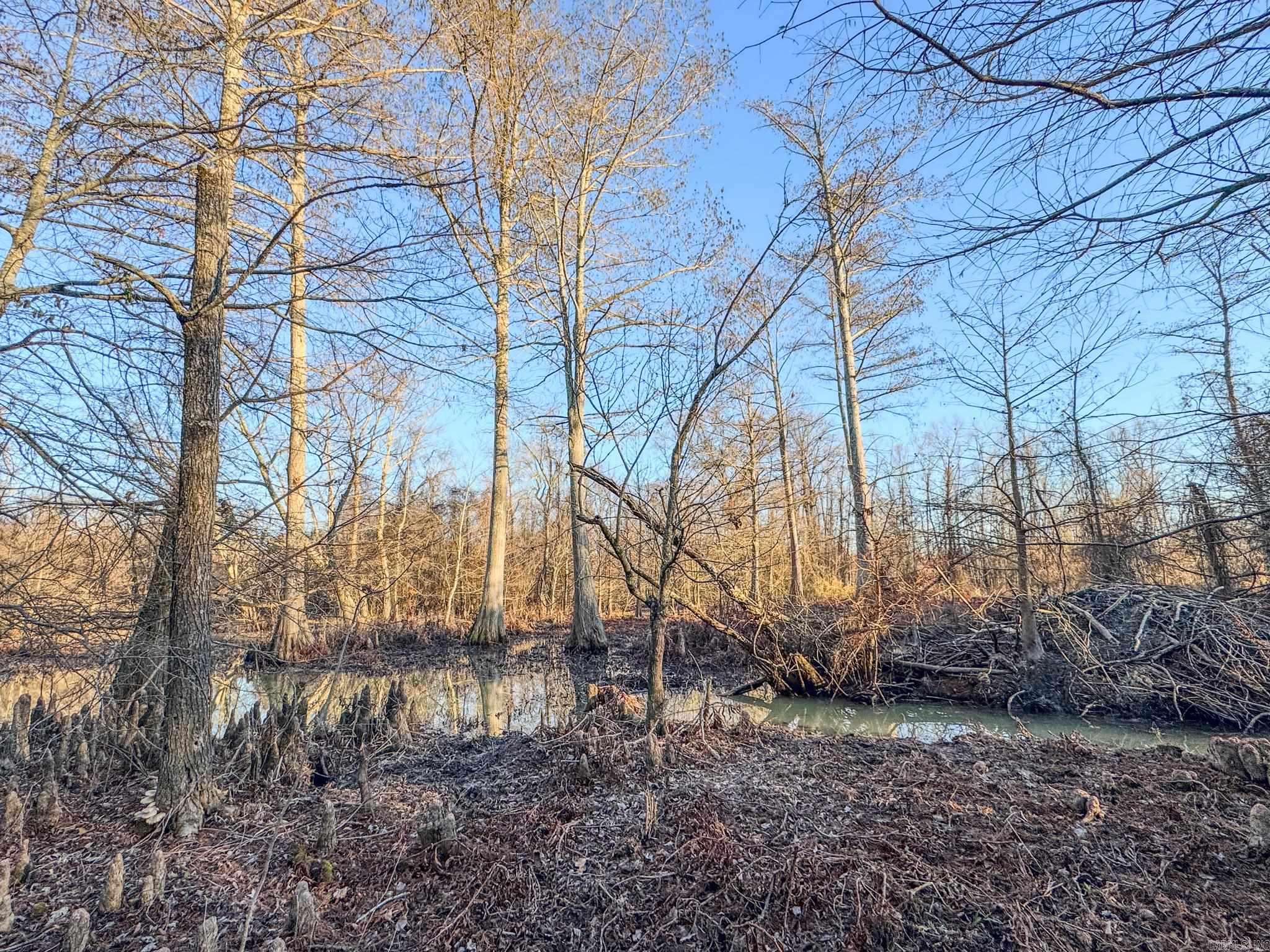  SFC 255  Palestine, AR