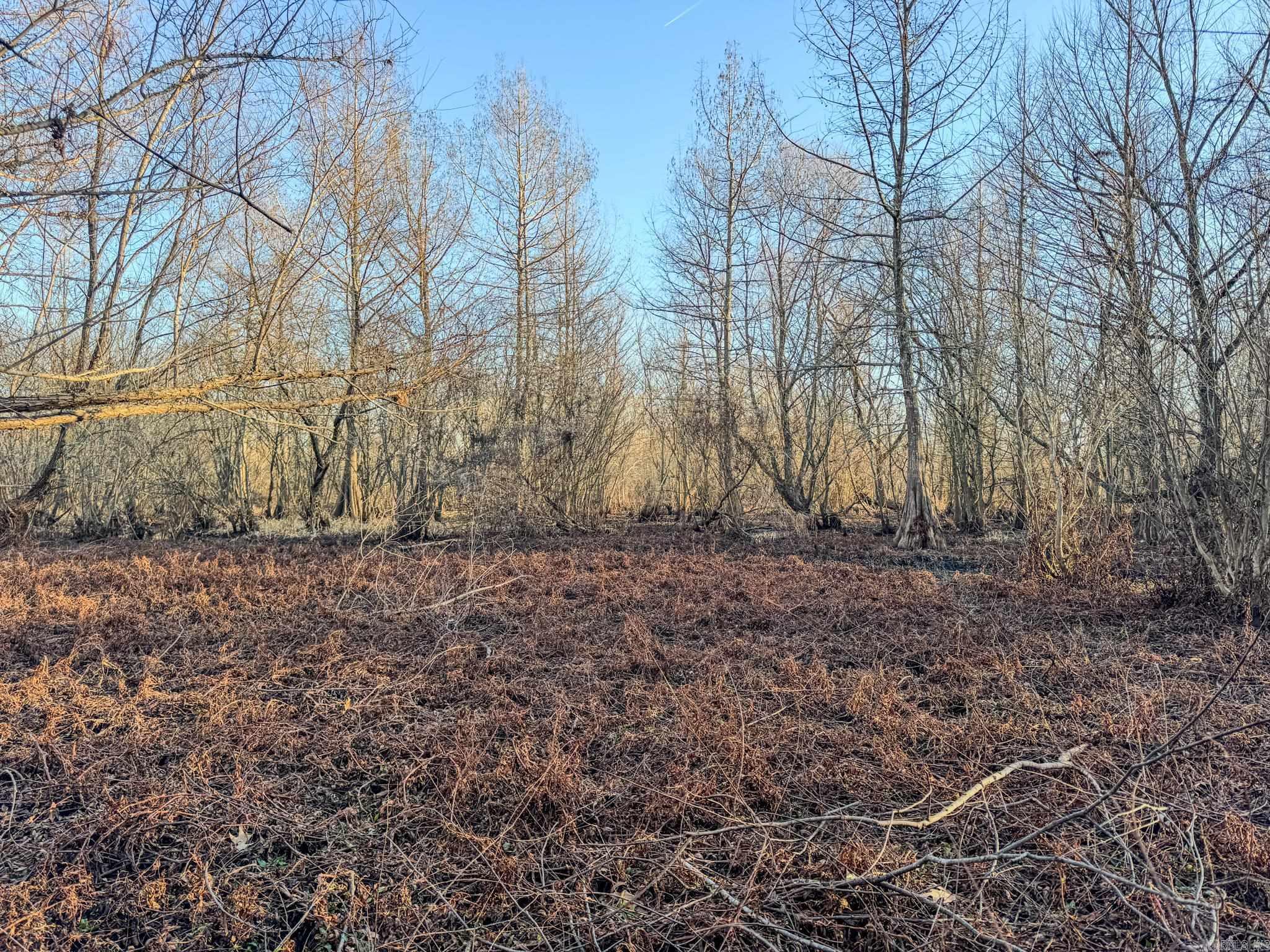  SFC 255  Palestine, AR