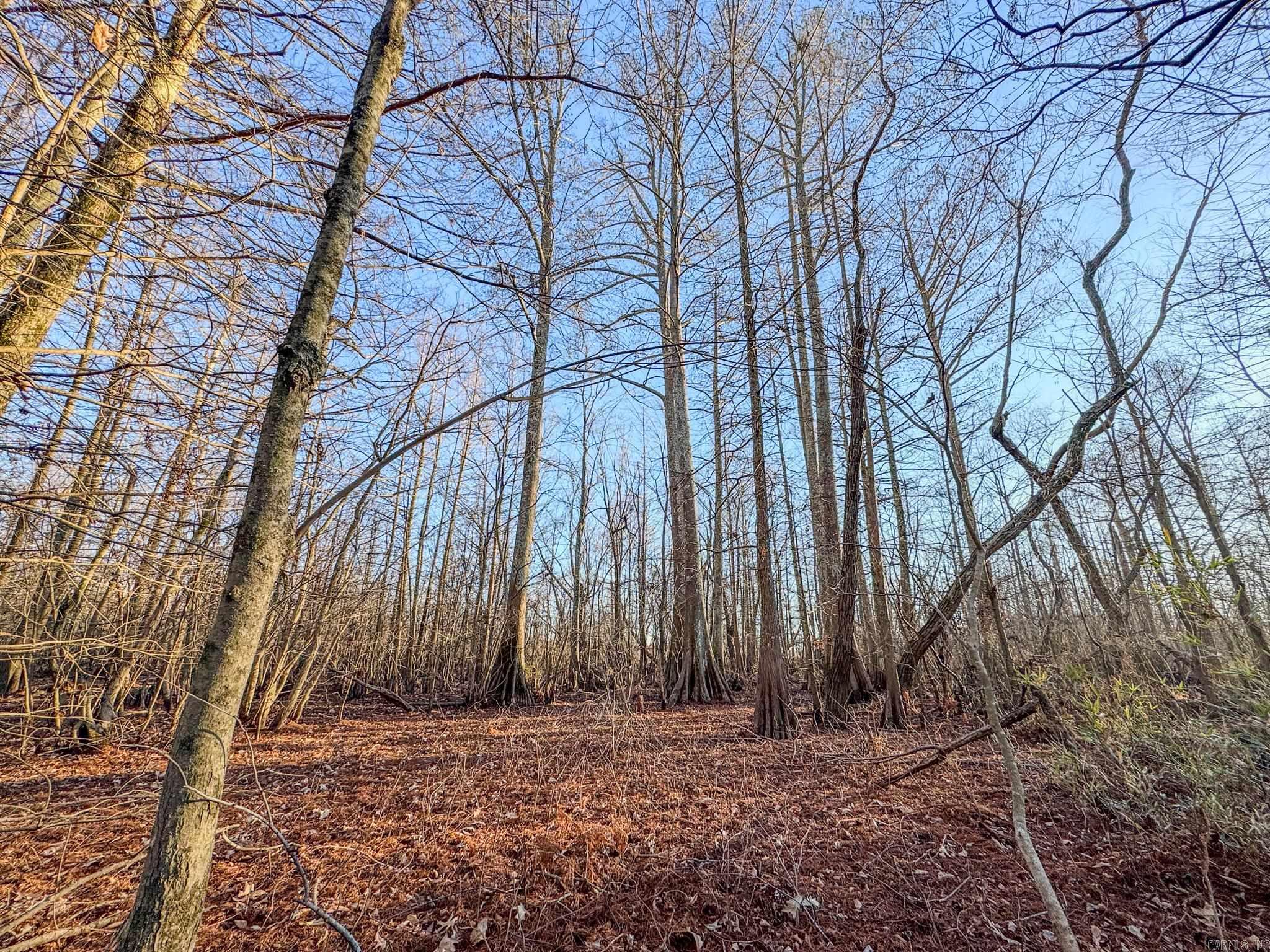  SFC 255  Palestine, AR