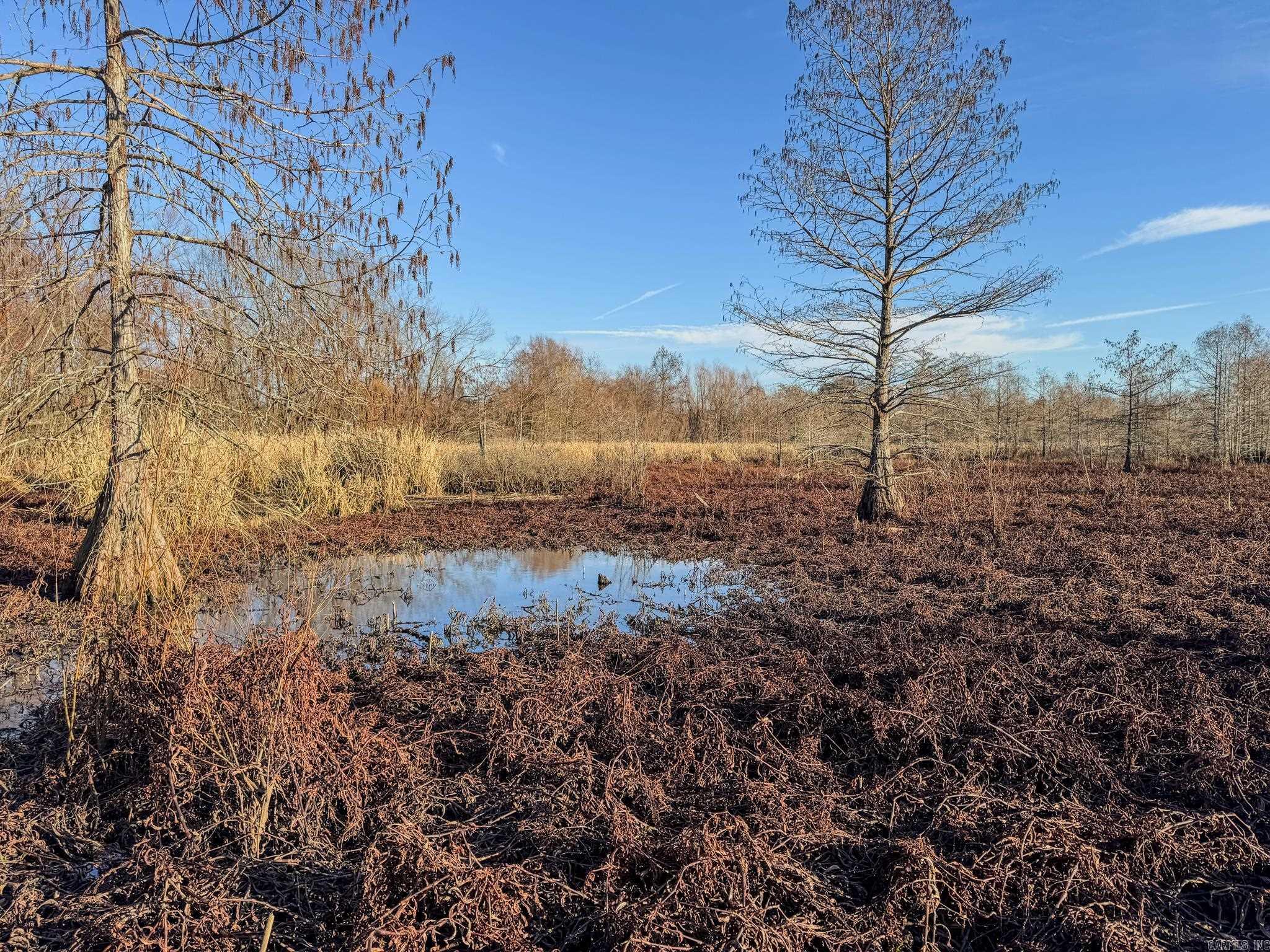  SFC 255  Palestine, AR