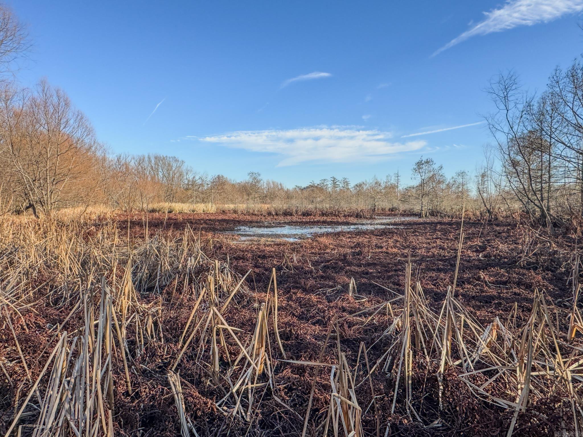  SFC 255  Palestine, AR