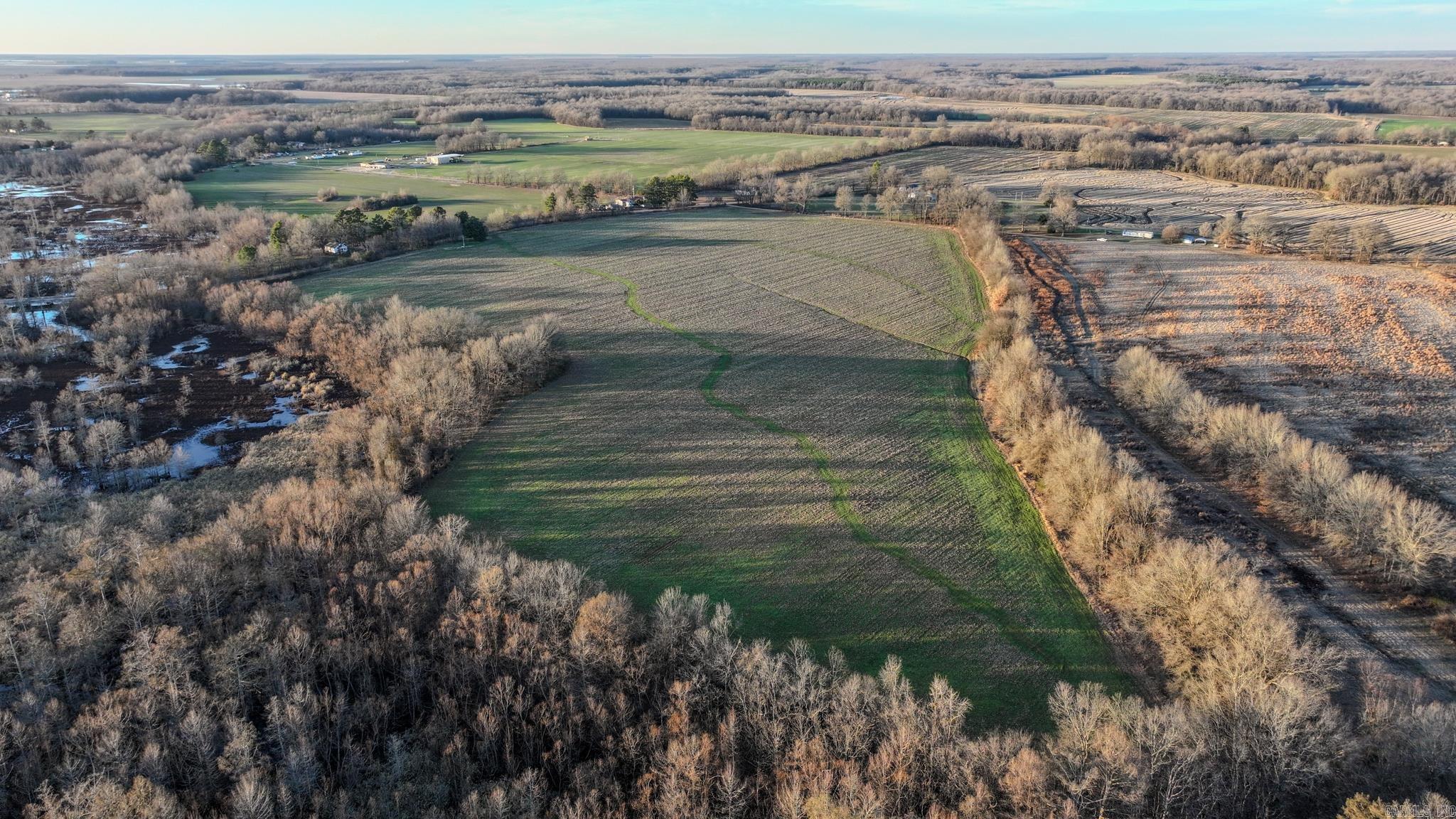  SFC 255  Palestine, AR