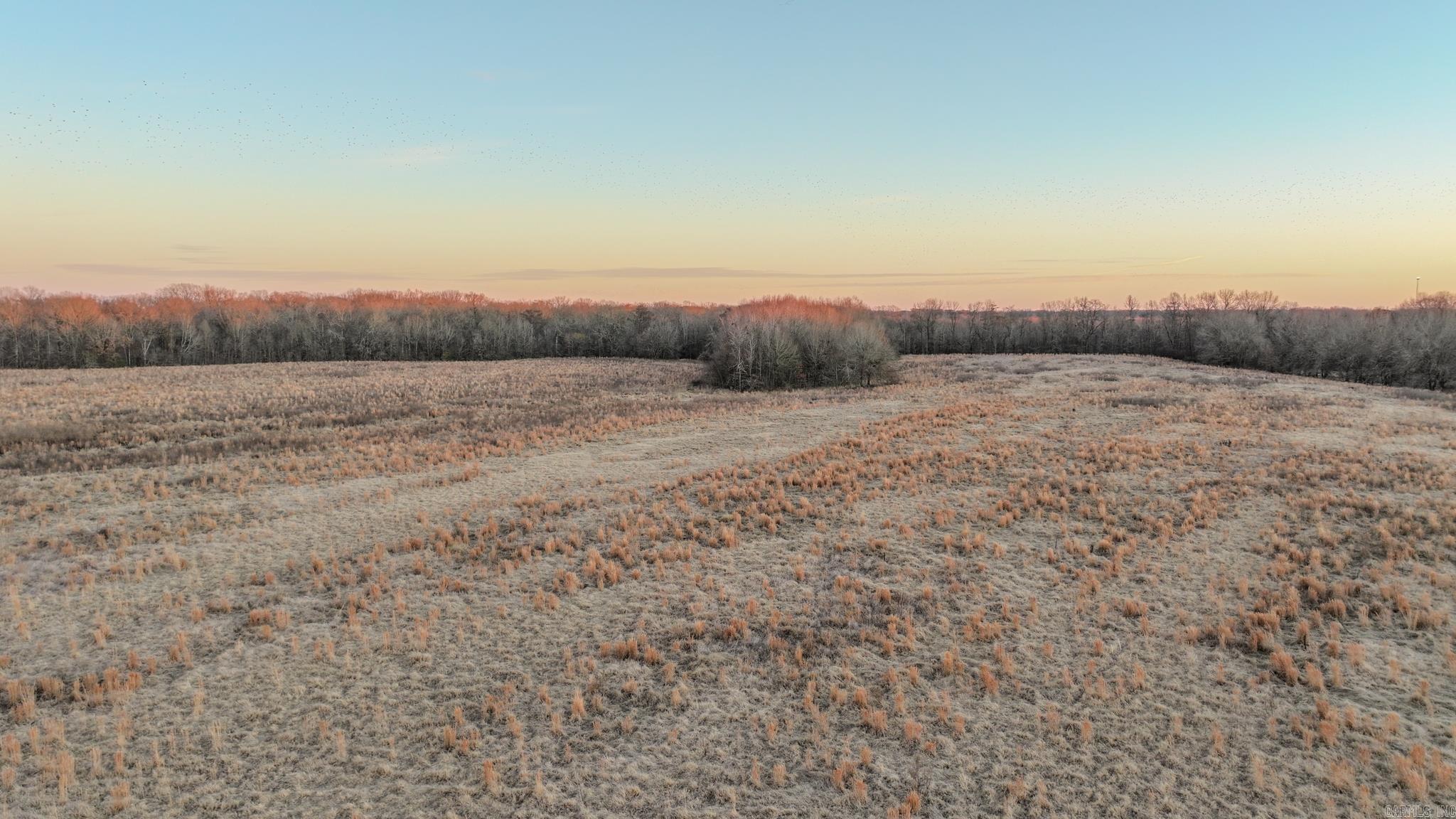  SFC 255  Palestine, AR