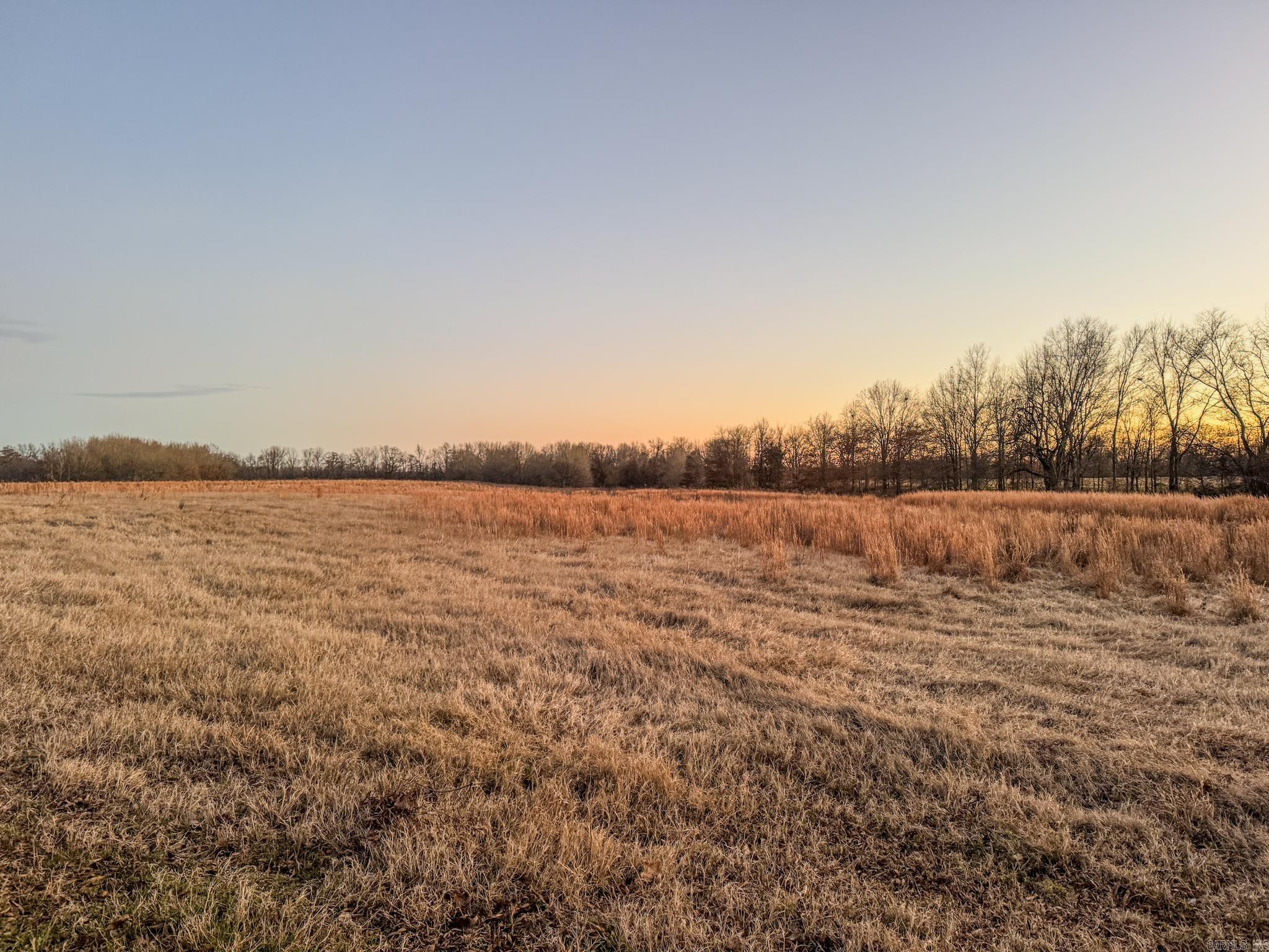  SFC 255  Palestine, AR