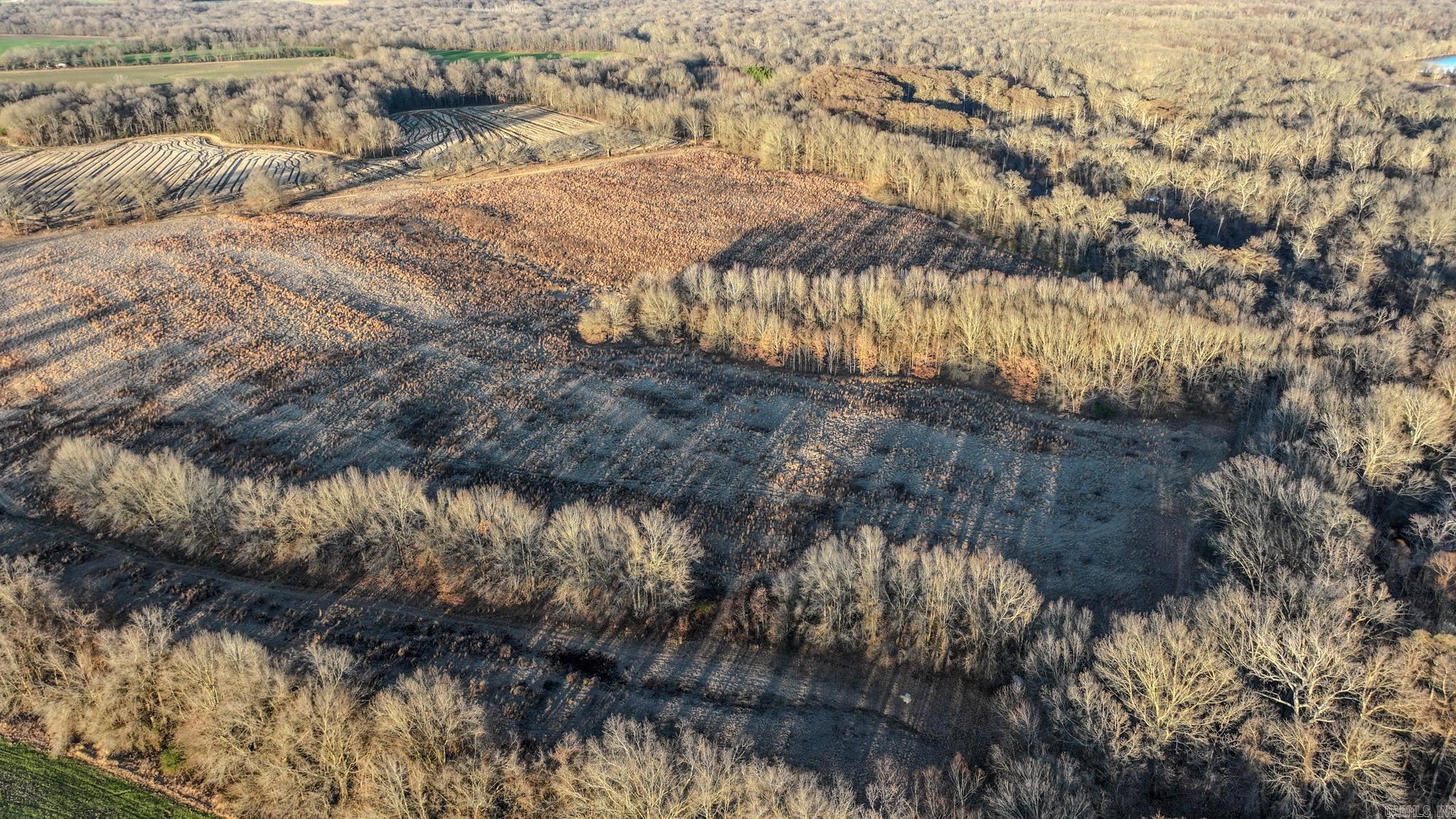  SFC 255  Palestine, AR