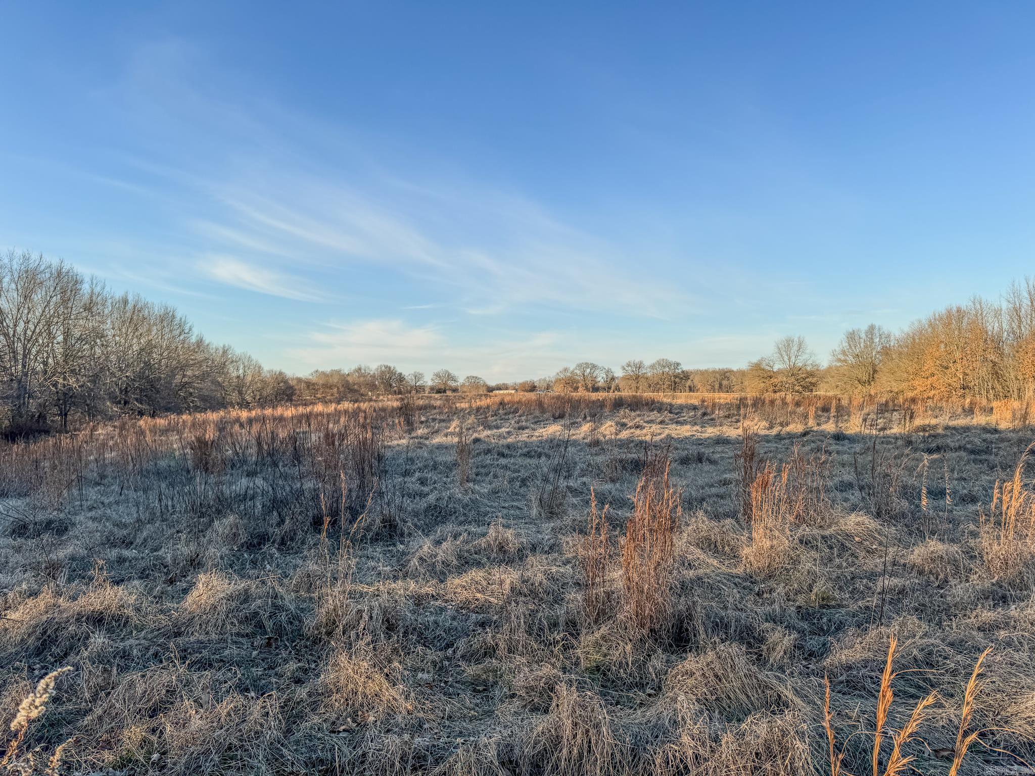  SFC 255  Palestine, AR