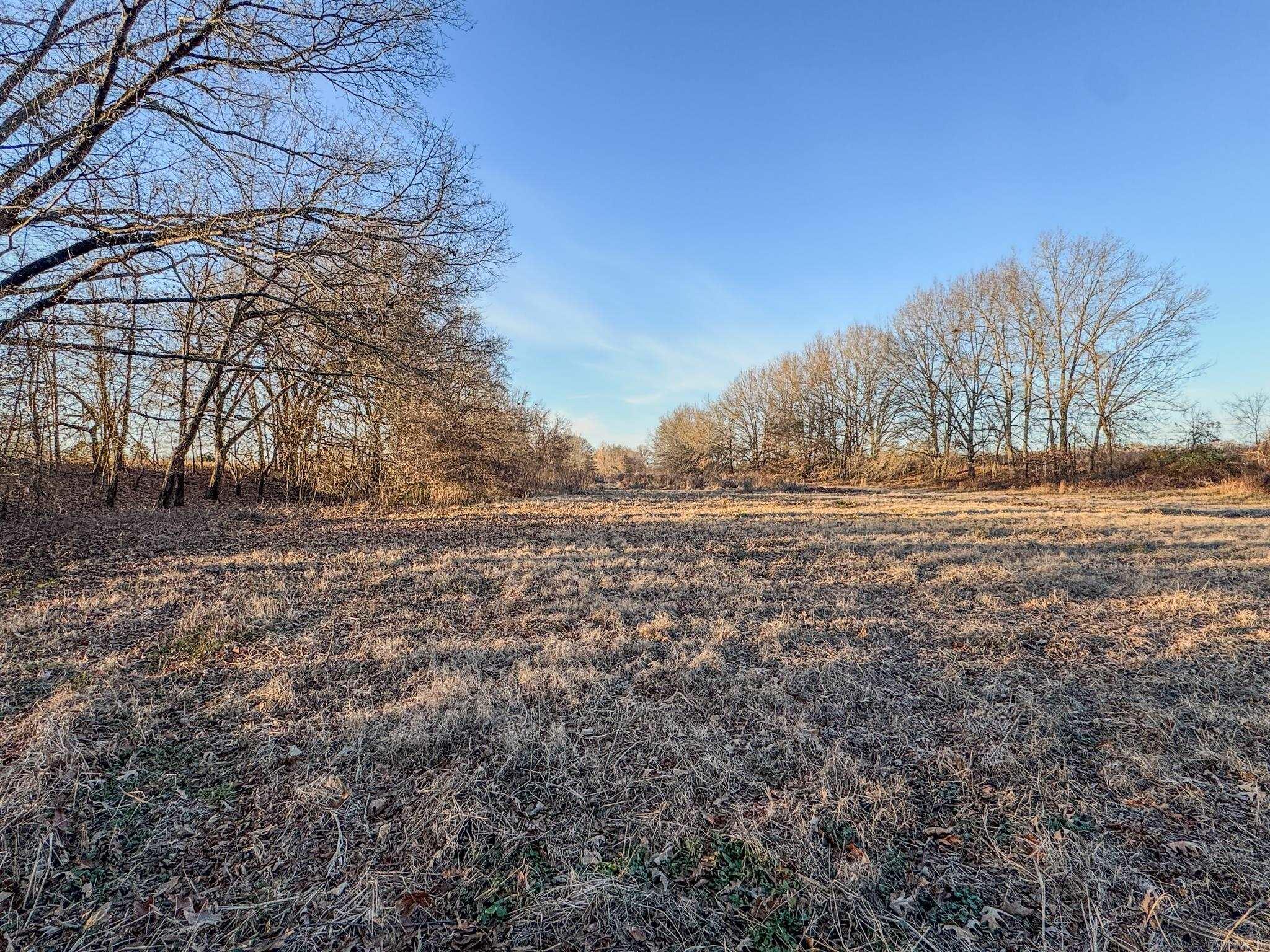  SFC 255  Palestine, AR