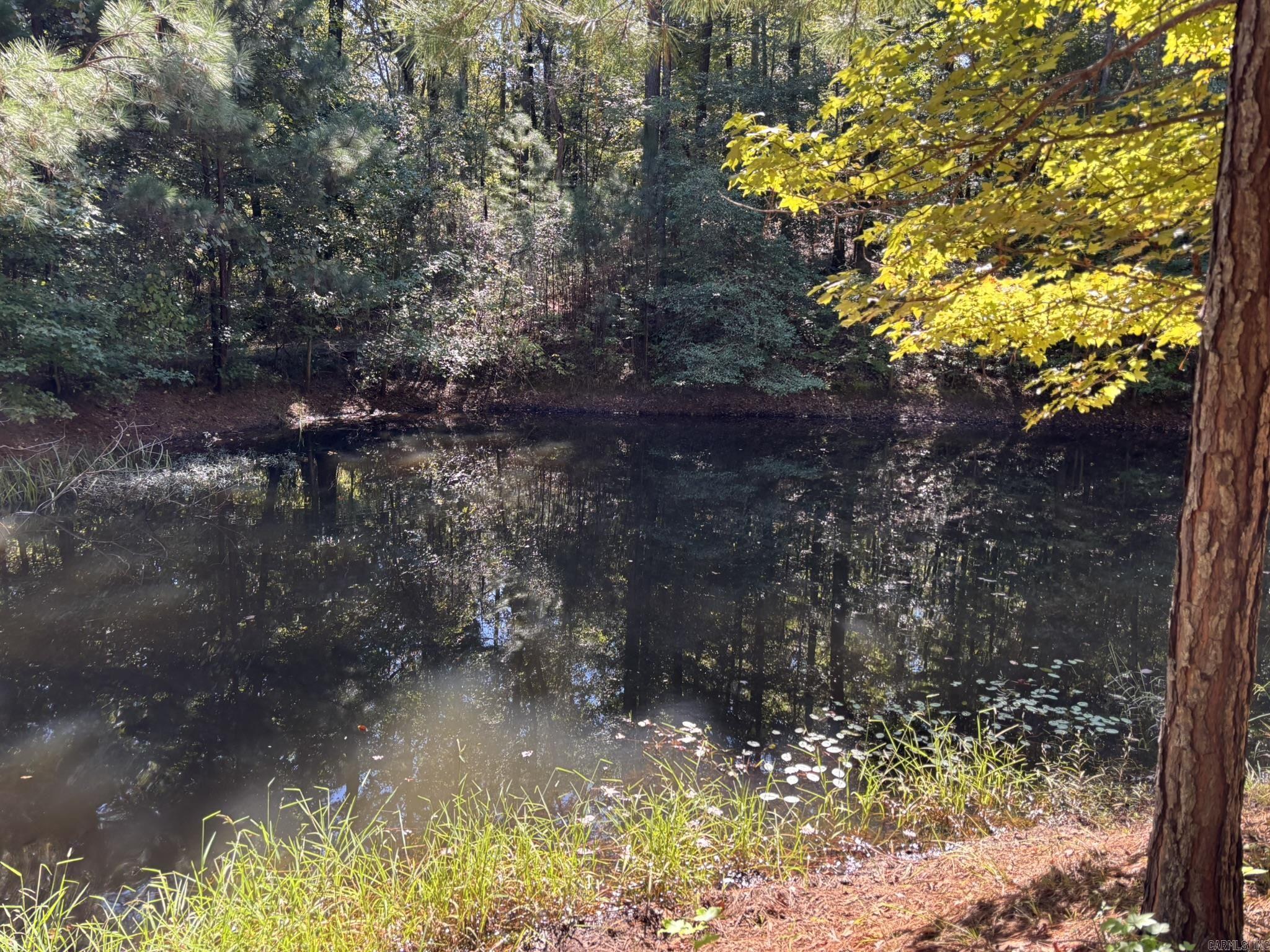 194 Cal Ray Dr.  Camden, AR