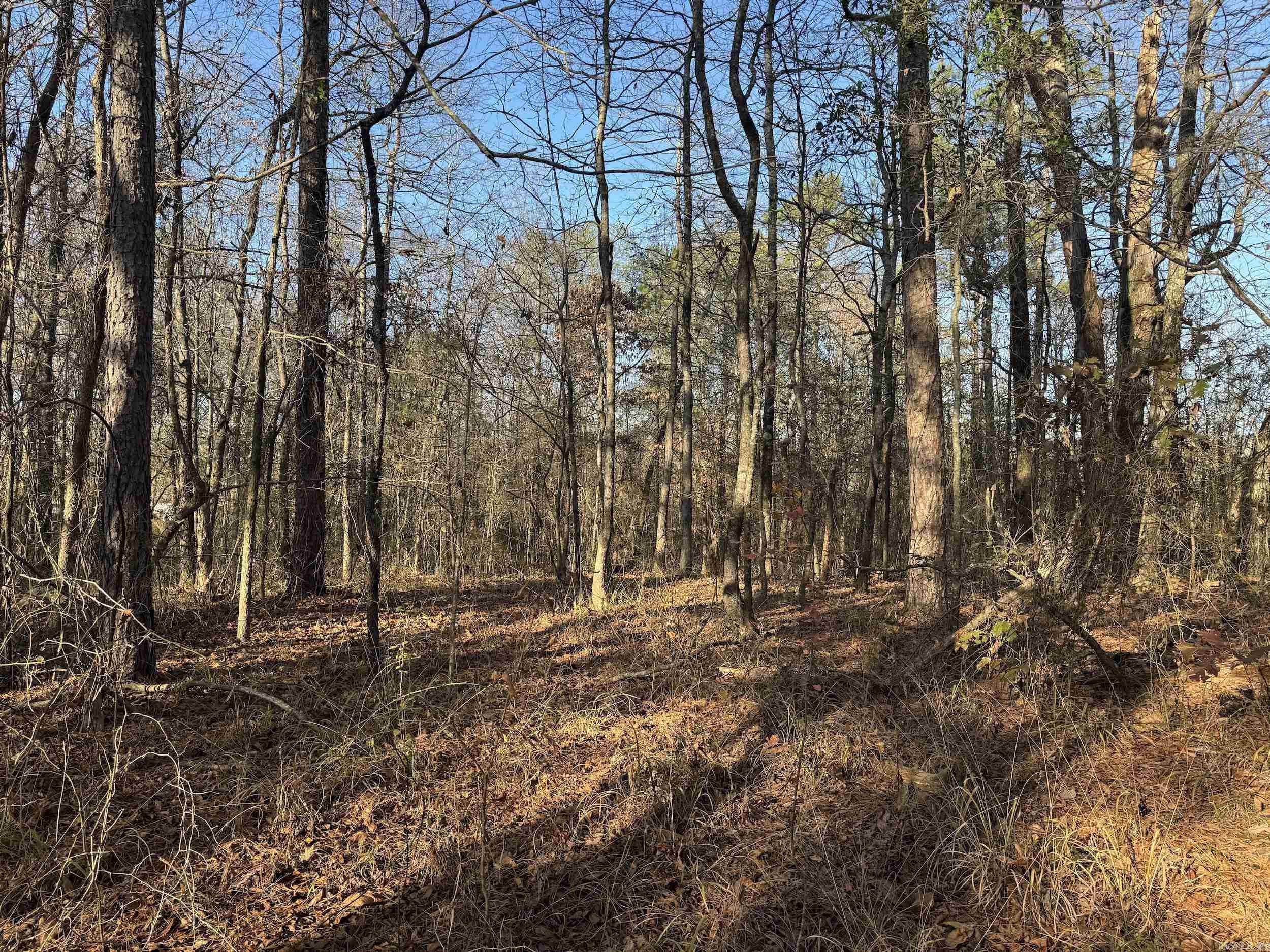 142 O'neal  Glenwood, AR