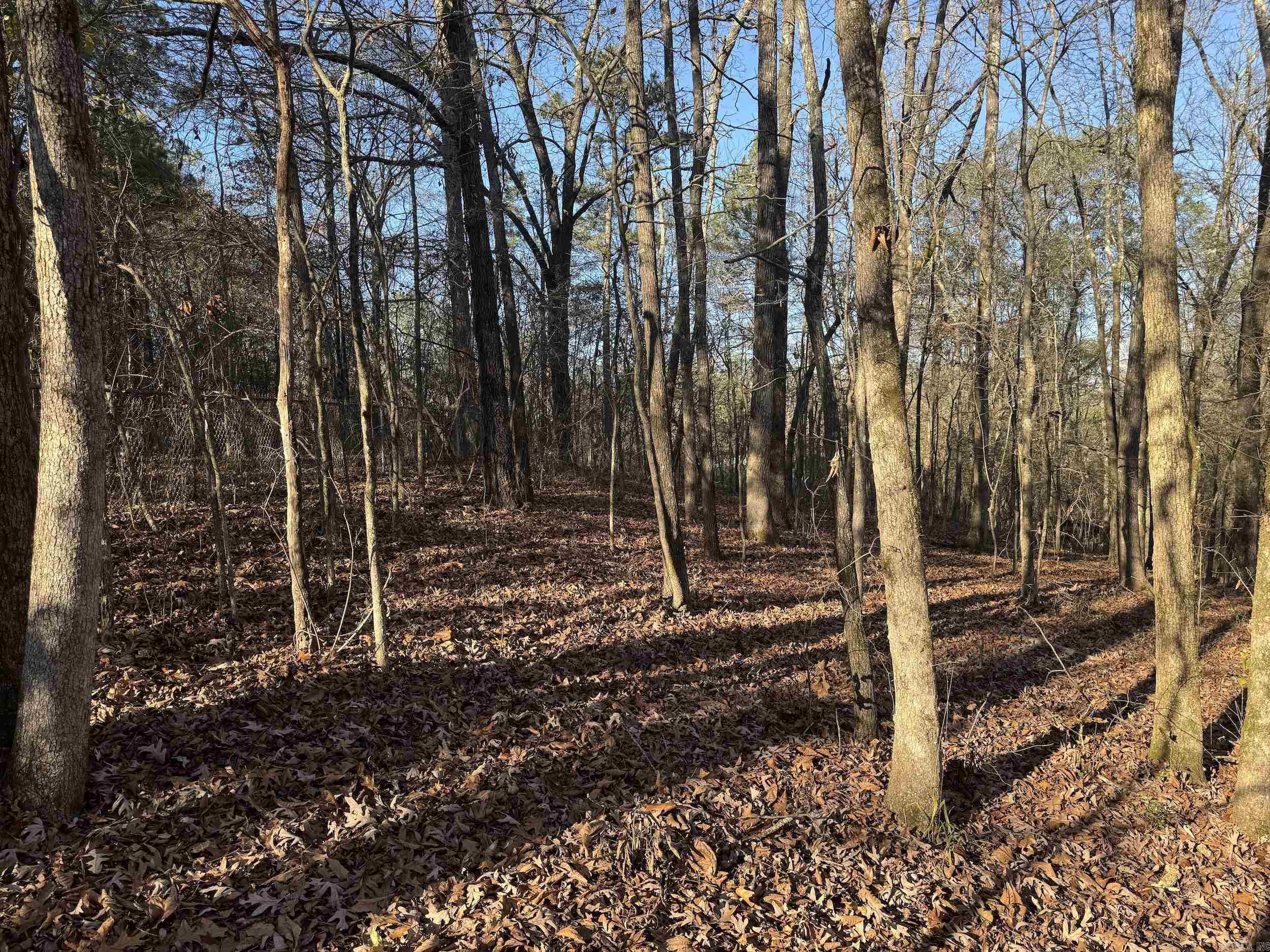 142 O'neal  Glenwood, AR