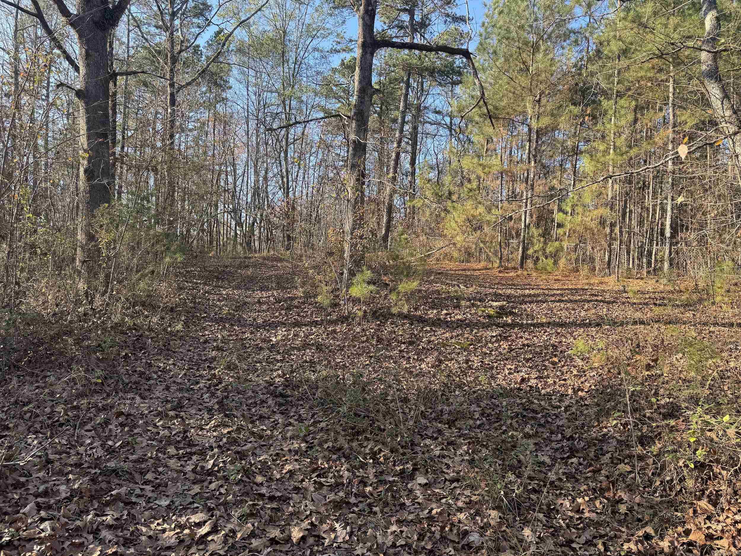 142 O'neal  Glenwood, AR