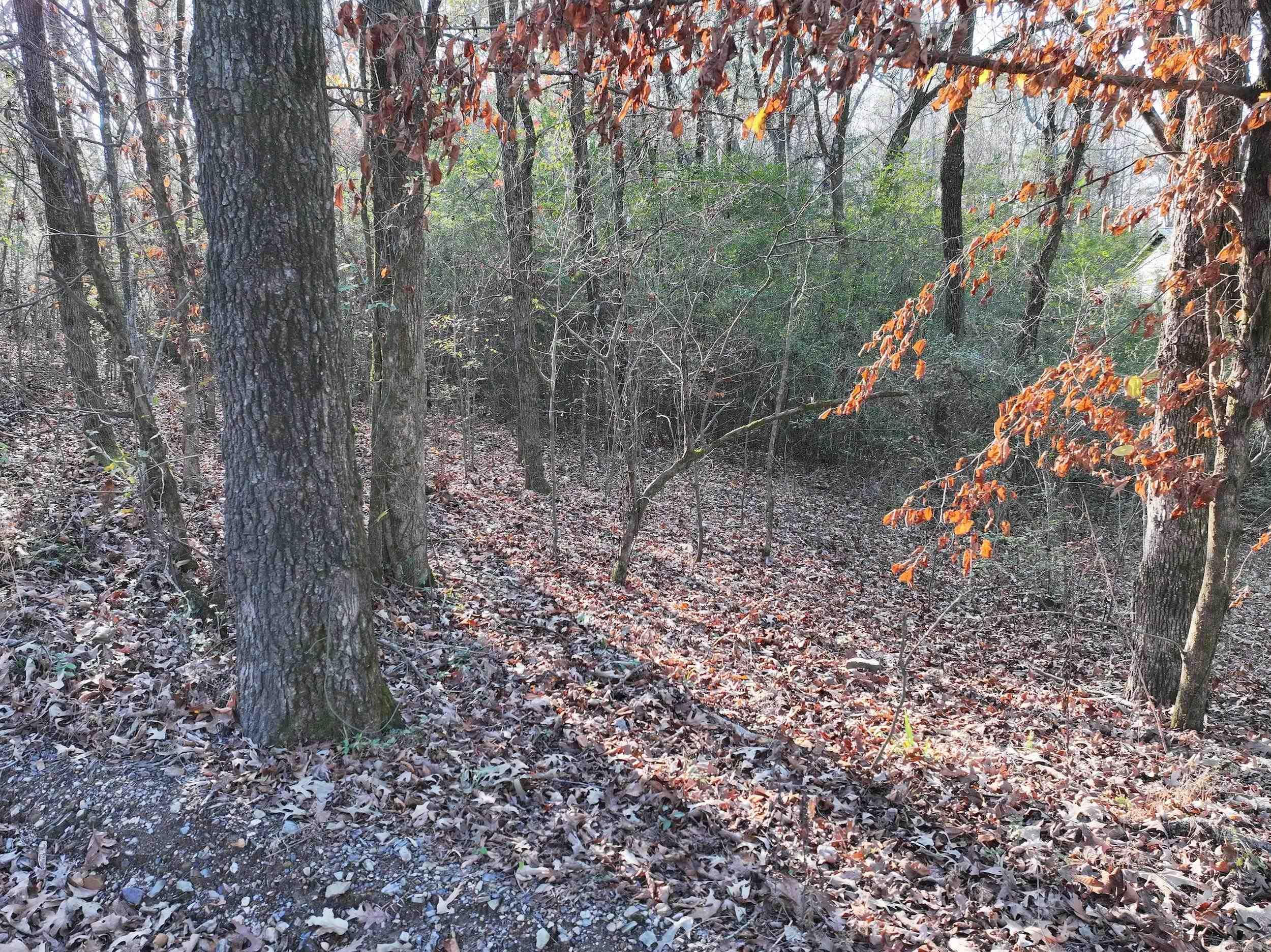 142 O'neal  Glenwood, AR