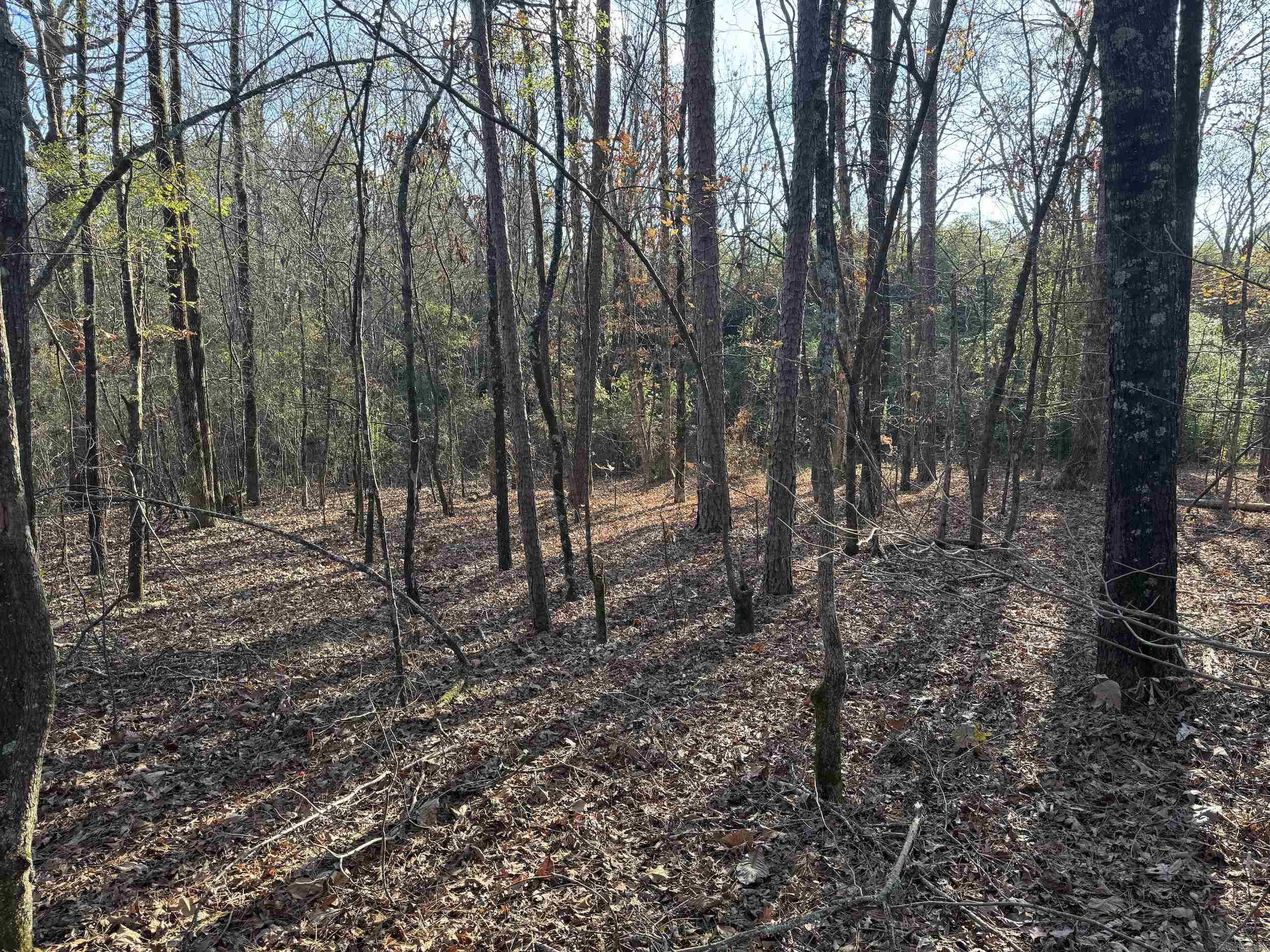 142 O'neal  Glenwood, AR