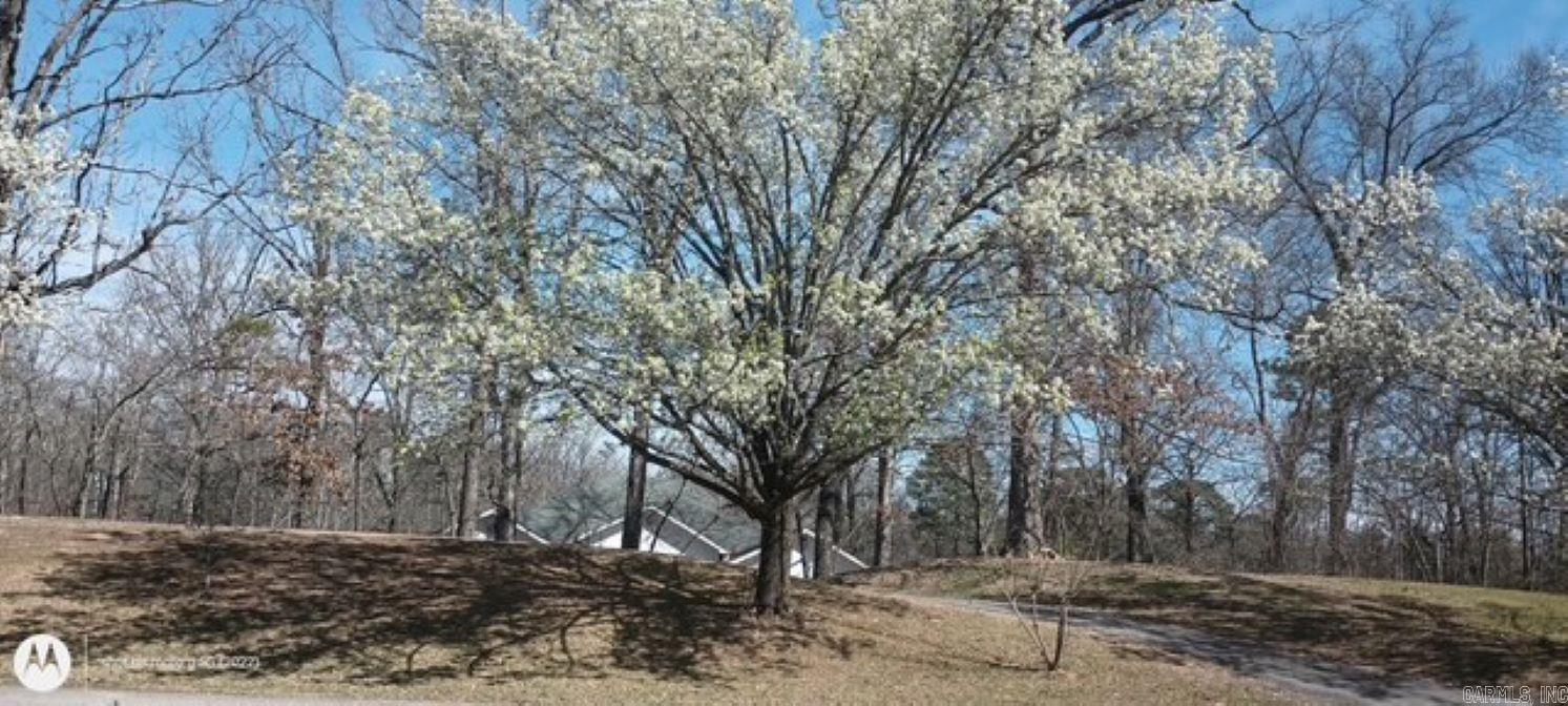 3322 QUAIL LN  Benton, AR