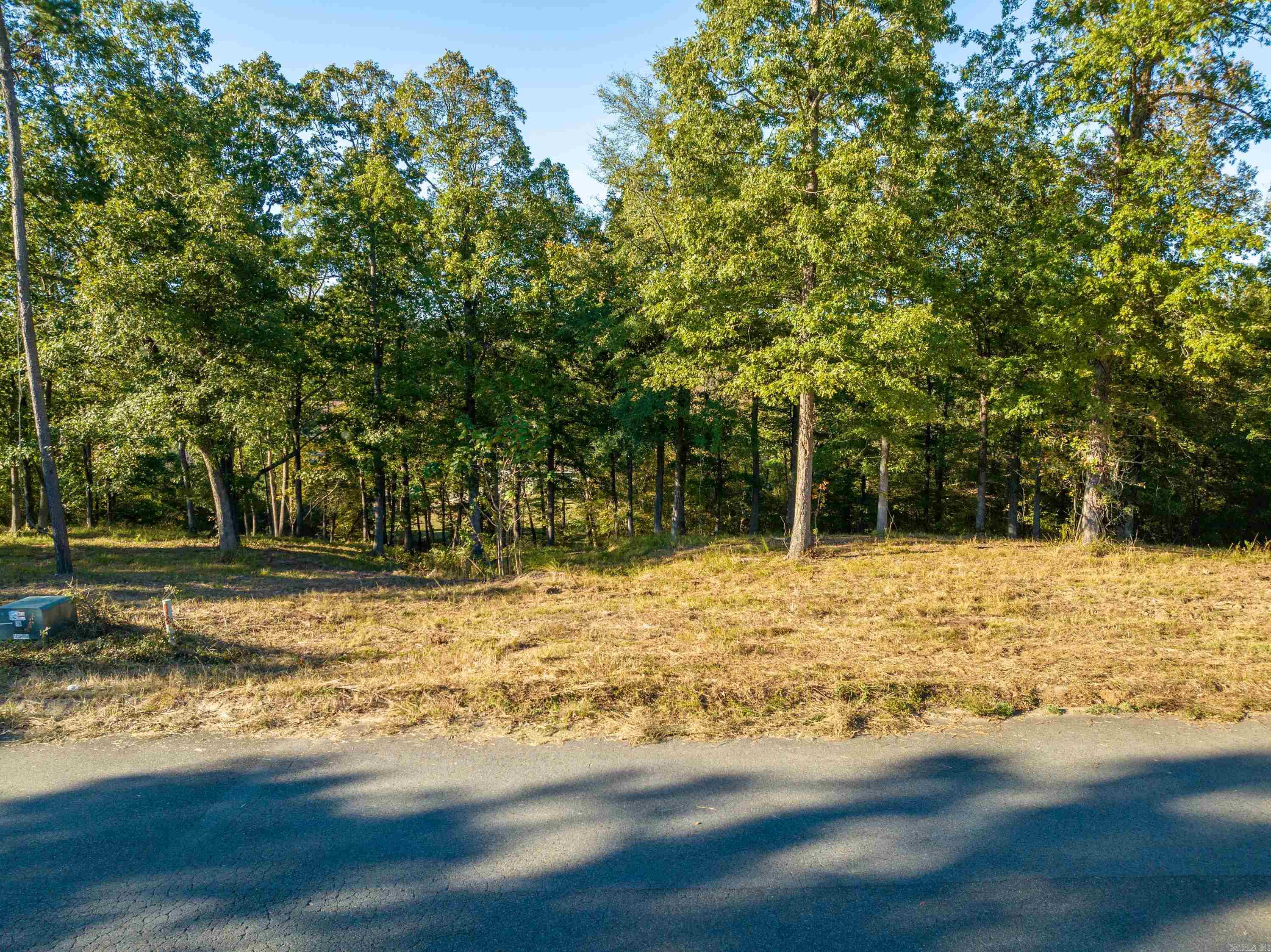 LOT 43 Windsong Bay  Hot Springs, AR