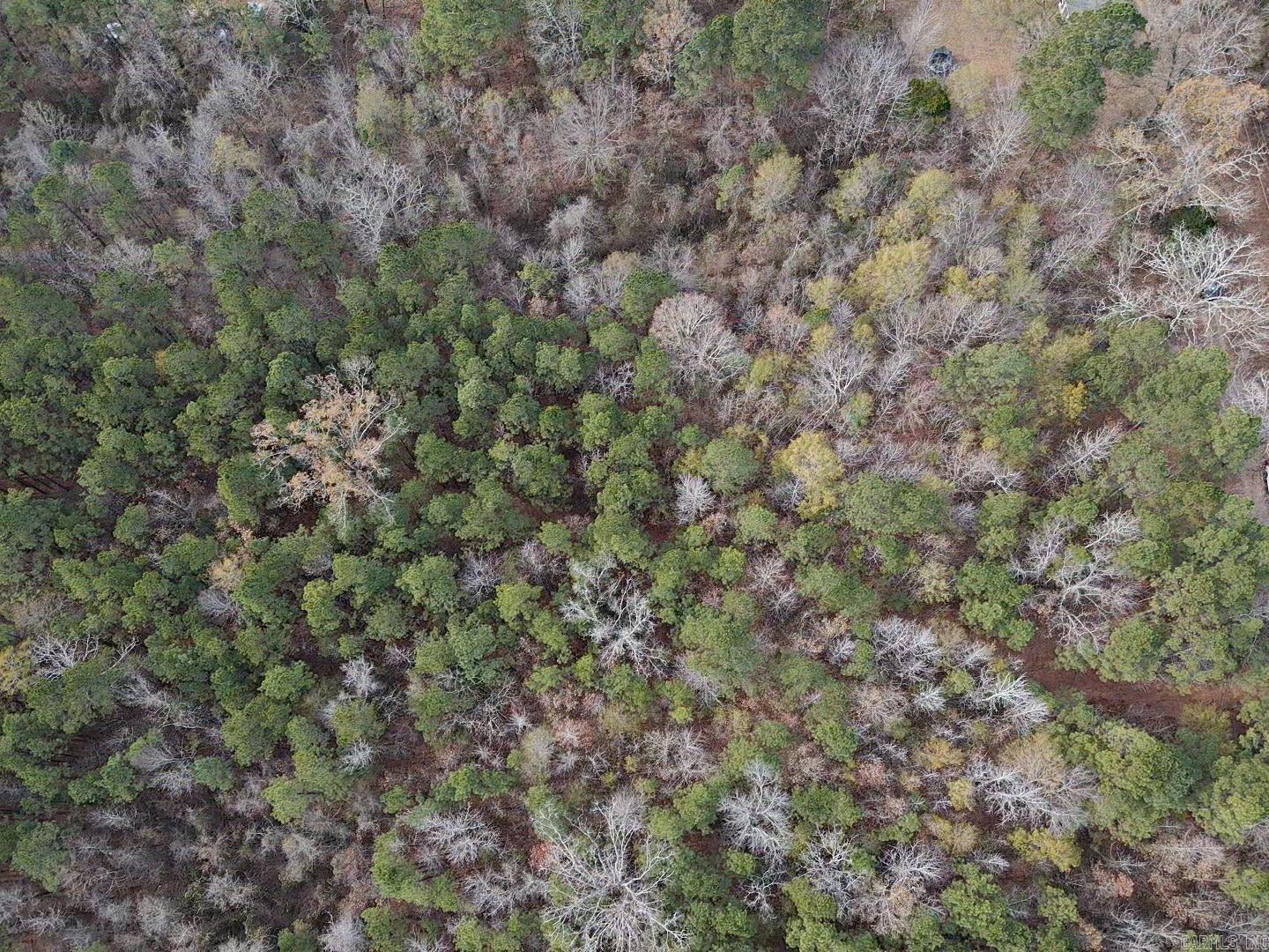 TBD Point Cedar  Amity, AR