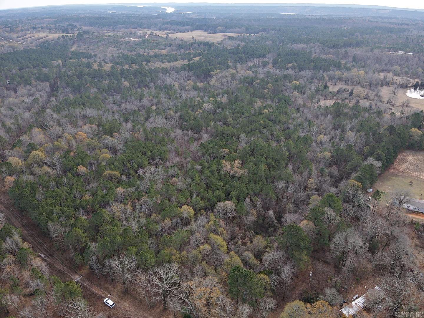 TBD Point Cedar  Amity, AR