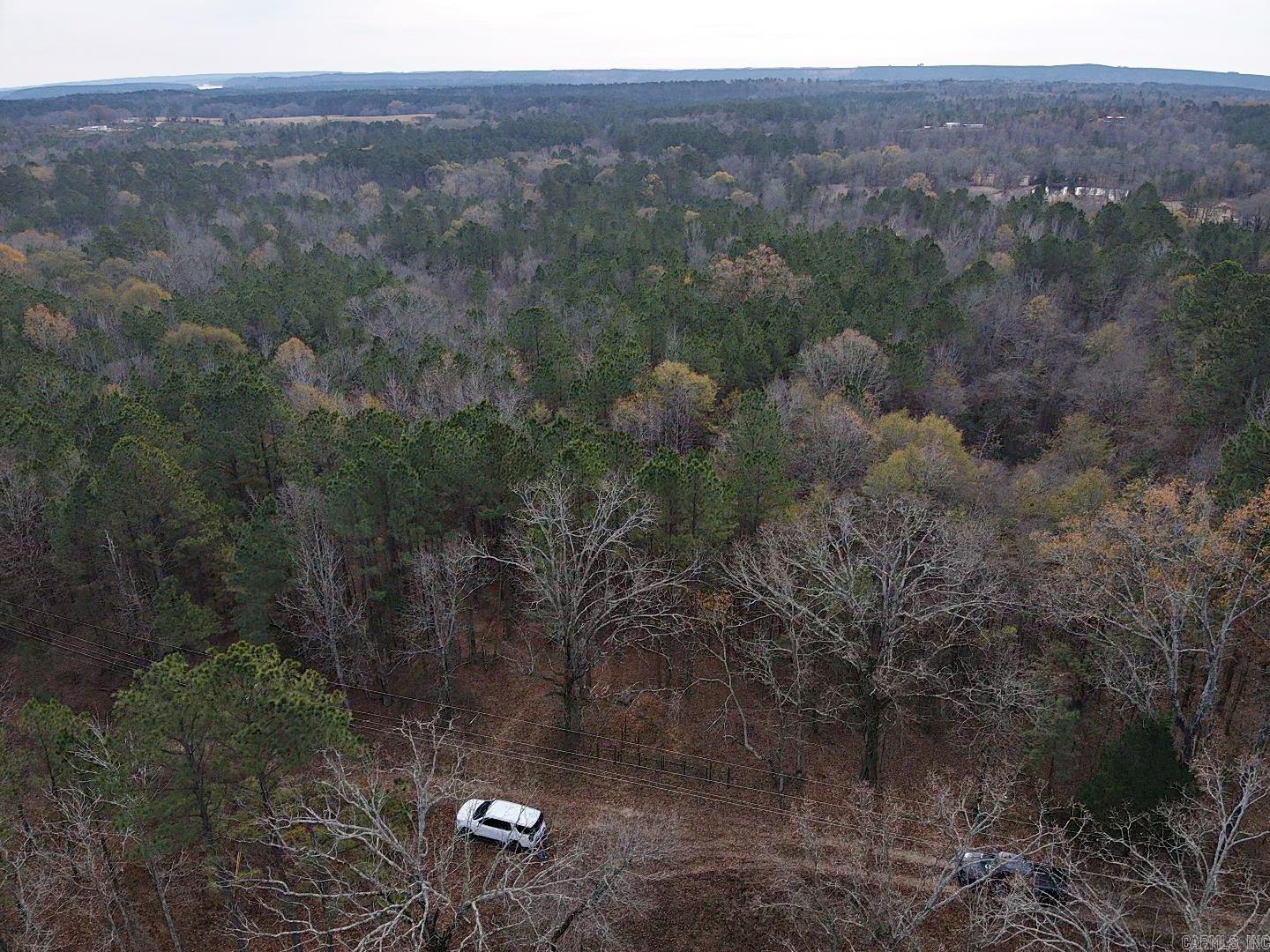 TBD Point Cedar  Amity, AR