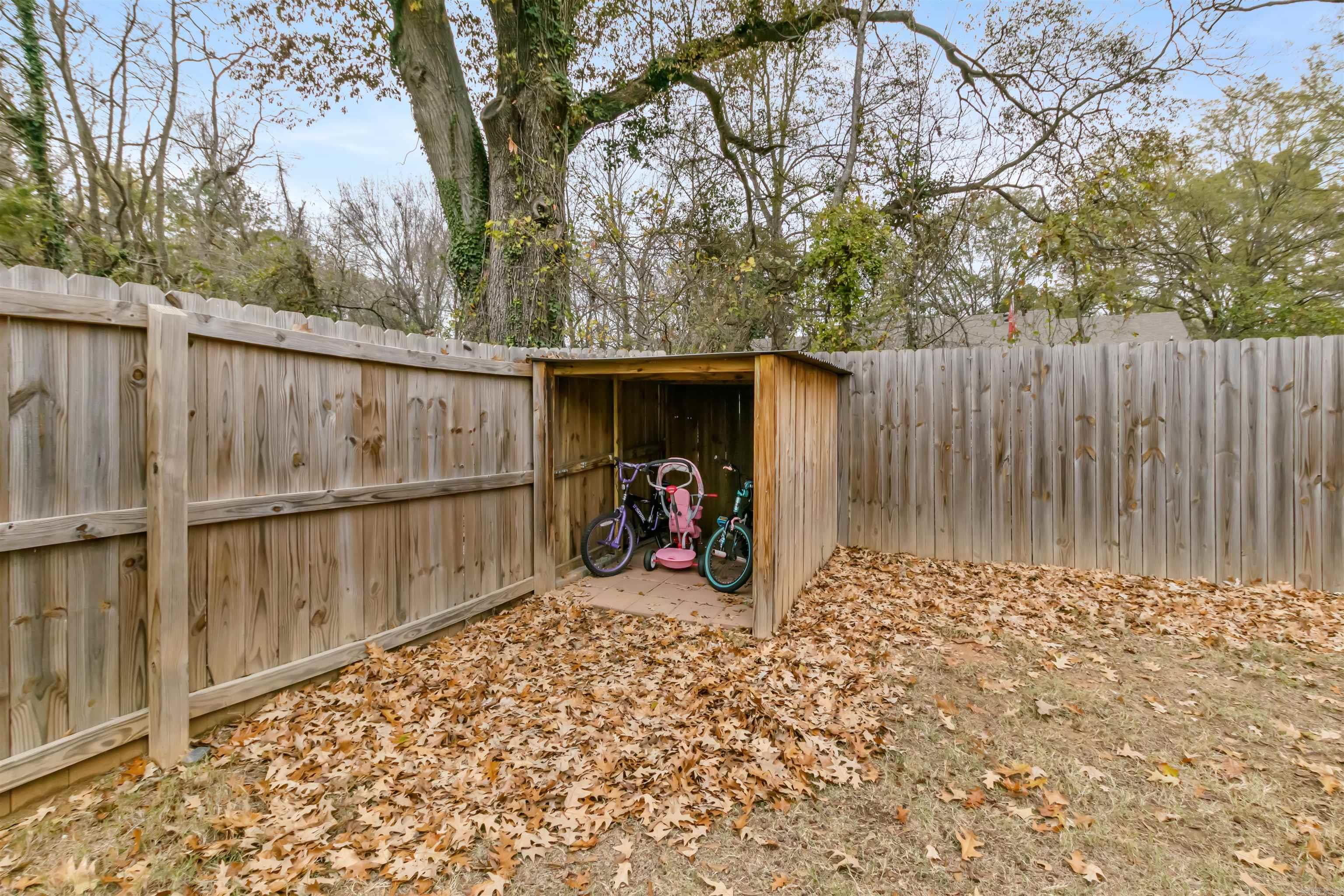 10 Raspberry  Cabot, AR